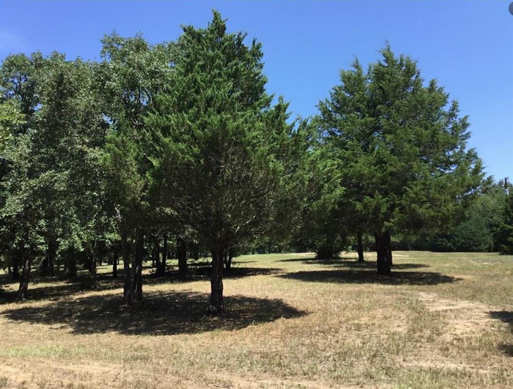 11011 Hiram Road Terrell, TX 75161 - Photo 8 of 15 a view of a yard with a tree