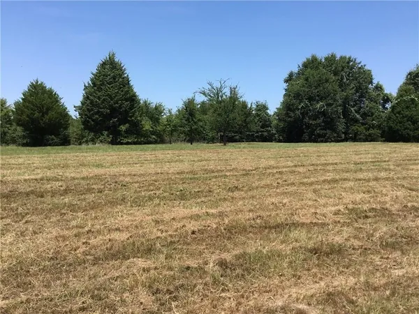 a view of outdoor space with lots of trees