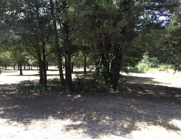a view of yard with trees