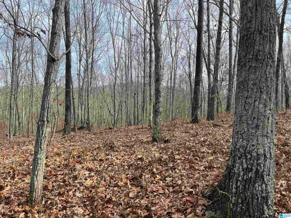 $430,000 | 0 County Road 852, Heflin, AL 36264