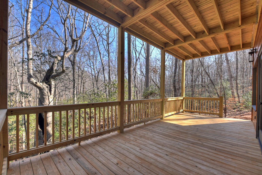 811 Mangum's Trail Blue Ridge, GA 30513 - Photo 60 of 70