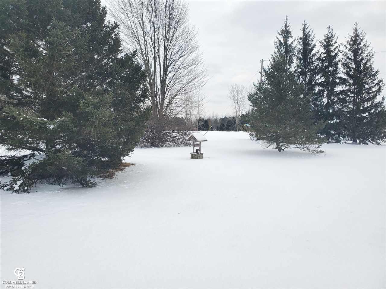 5656 Capac Road Capac, MI 48014 - Photo 21 of 28 Sideyard View 1
