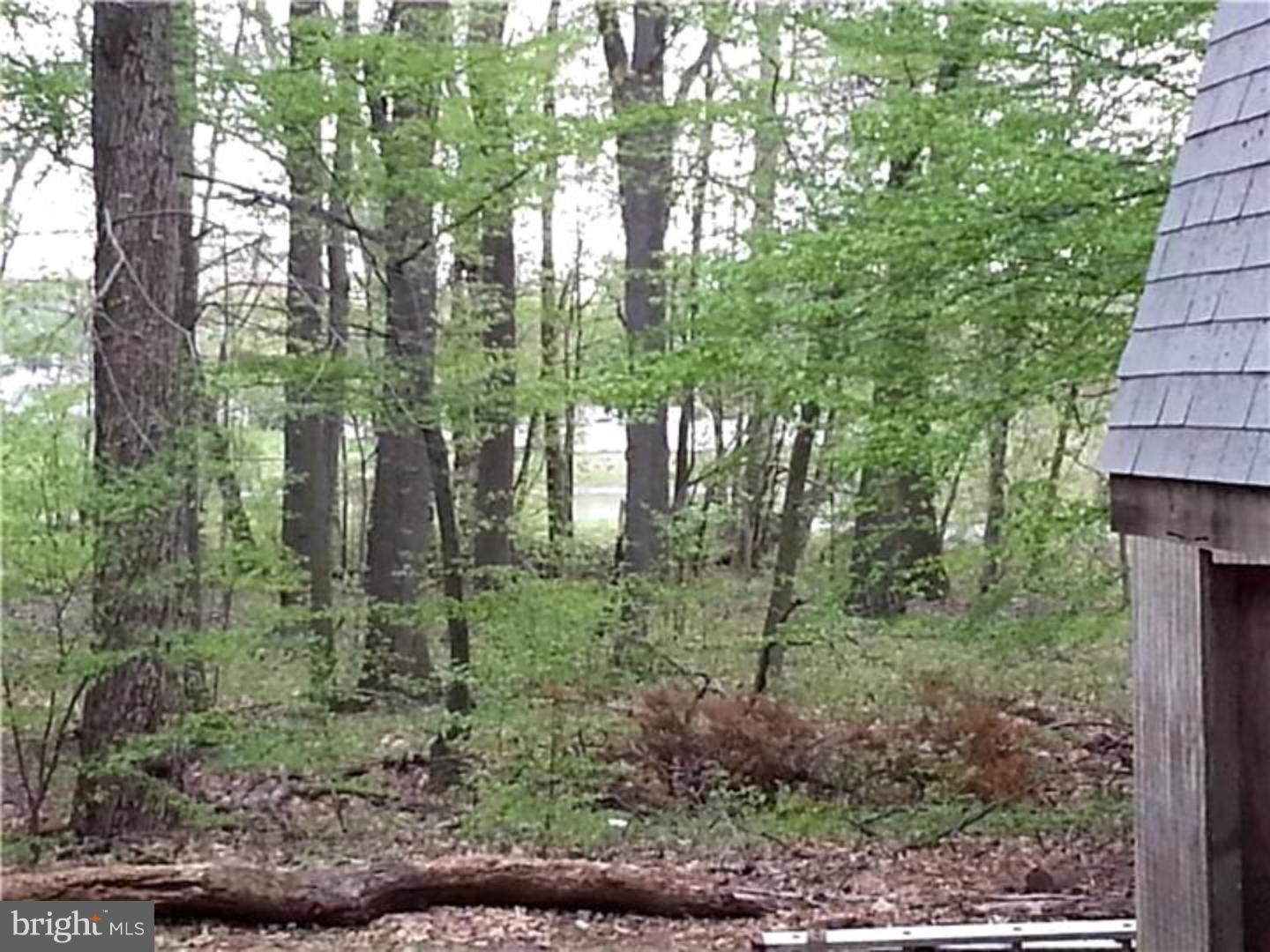 4919 Church Road Mount Laurel, NJ 08054 - Photo 16 of 22 View in Back