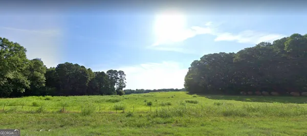 a view of a yard
