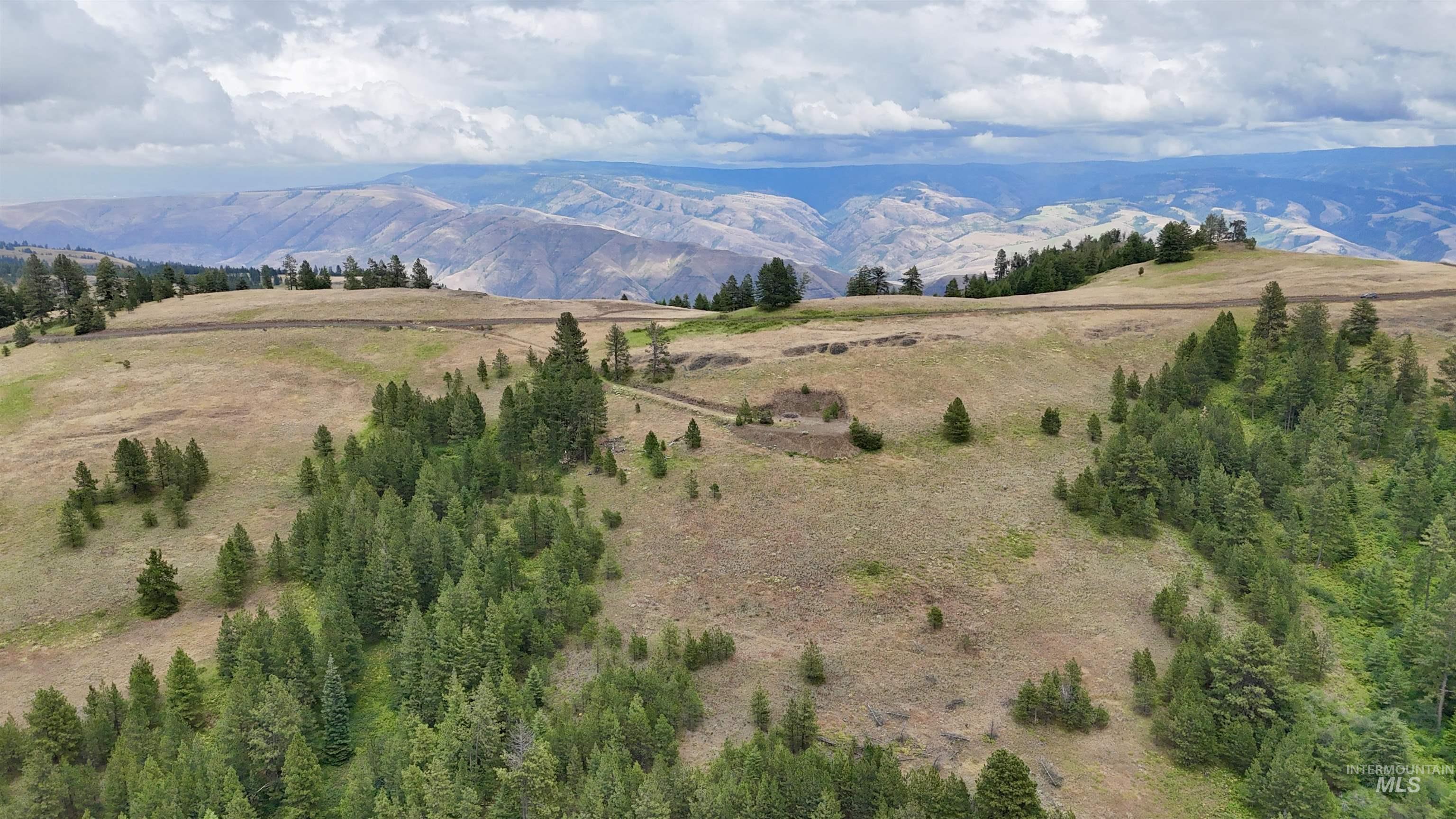Lot 91 Pilgrim Ridge Road White Bird, ID 83554 - Photo 8 of 35