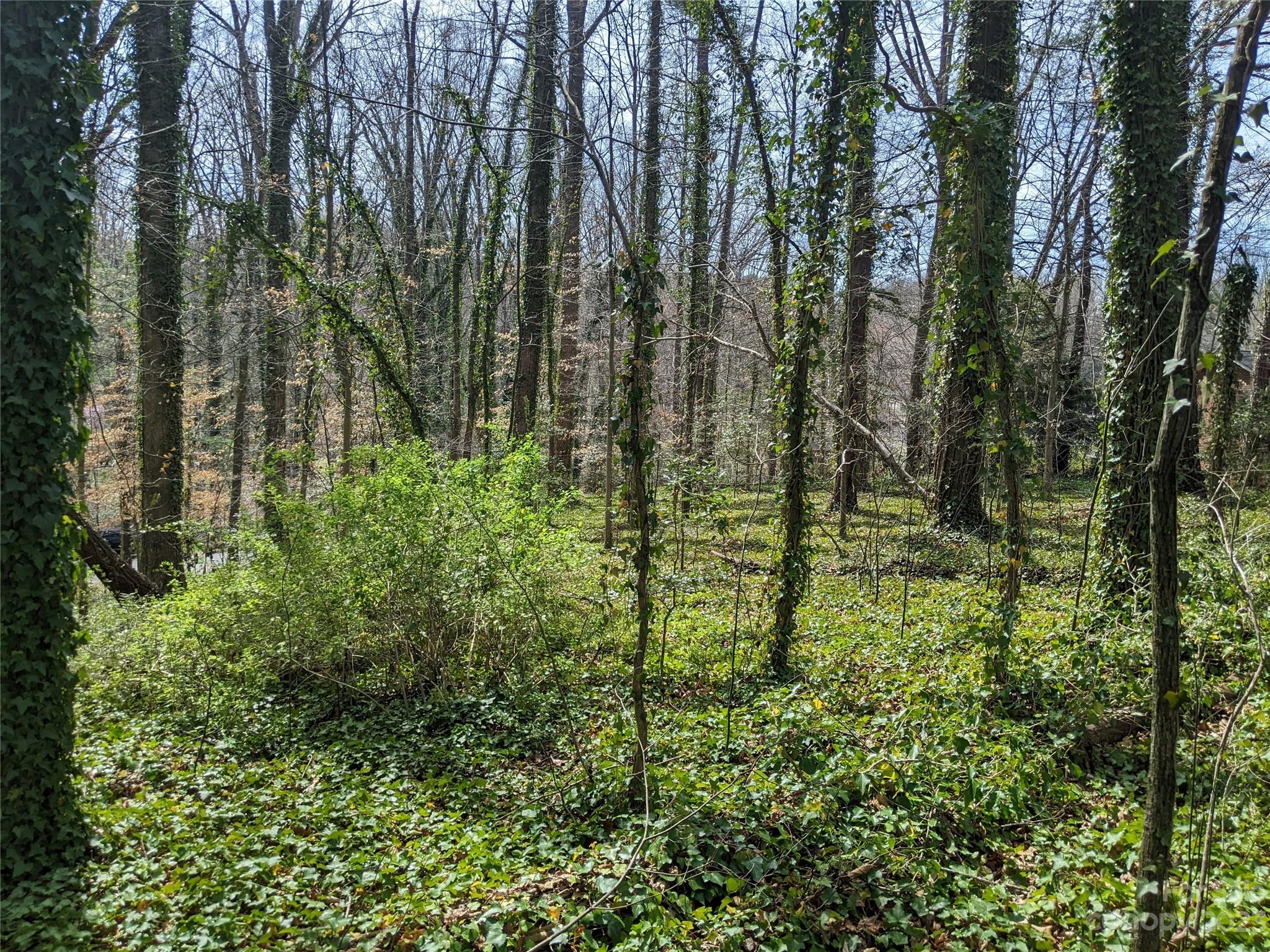 518 Ervin Road, Unit 26/27 Morganton, NC 28655 - Photo 1 of 13 Gallery Image 1