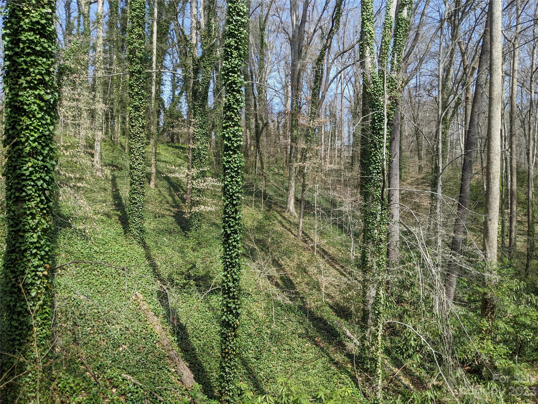 518 Ervin Road, Unit 26/27 Morganton, NC 28655 - Photo 10 of 13 Gallery Image 10
