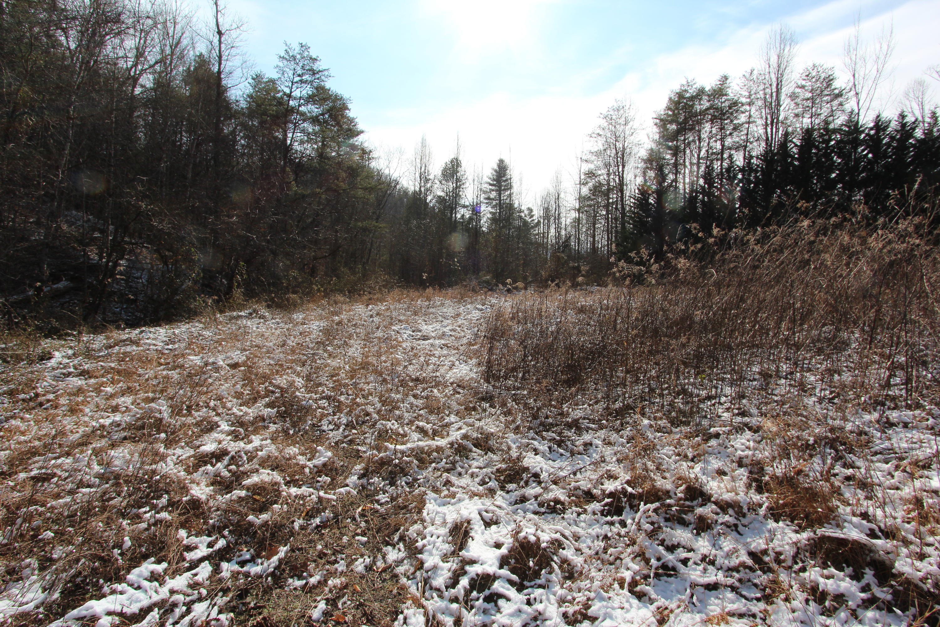 17.21 South Highway 107 Del Rio, TN 37727 - Photo 3 of 9 3
