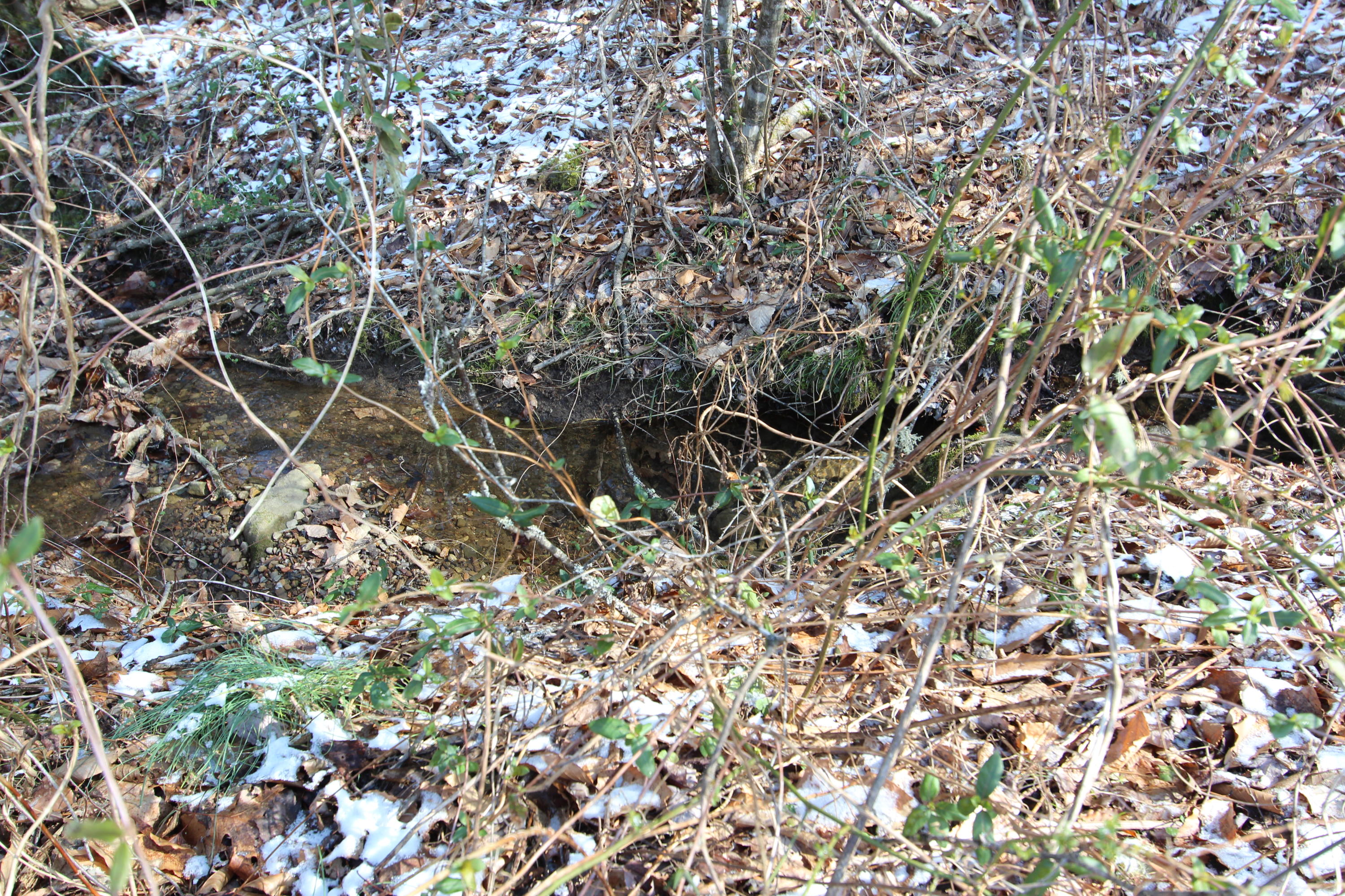 17.21 South Highway 107 Del Rio, TN 37727 - Photo 4 of 9 4