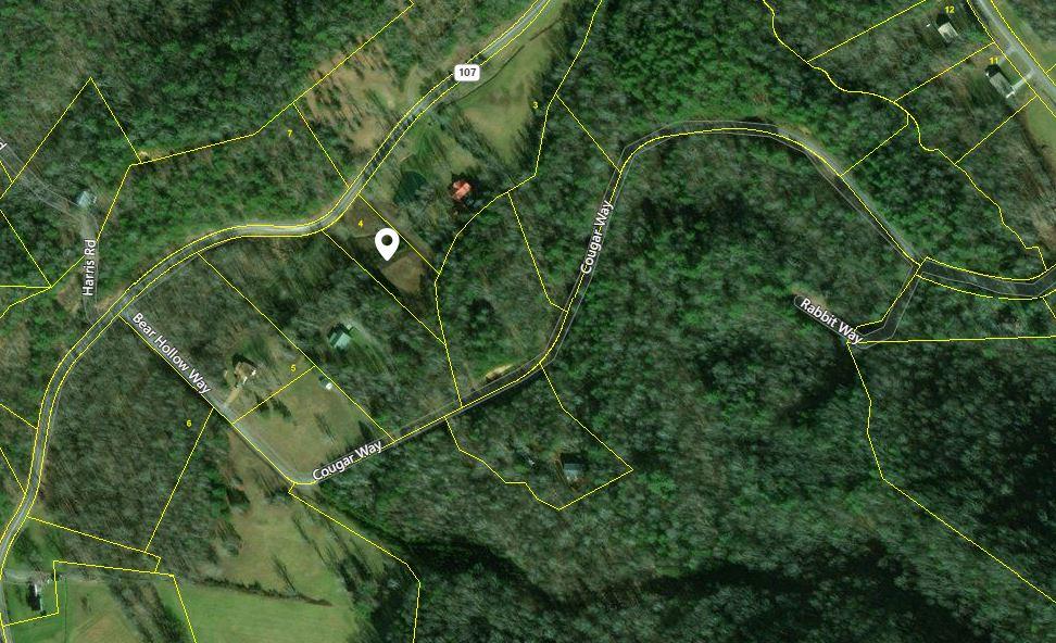 17.21 South Highway 107 Del Rio, TN 37727 - Photo 8 of 9 Aerial view
