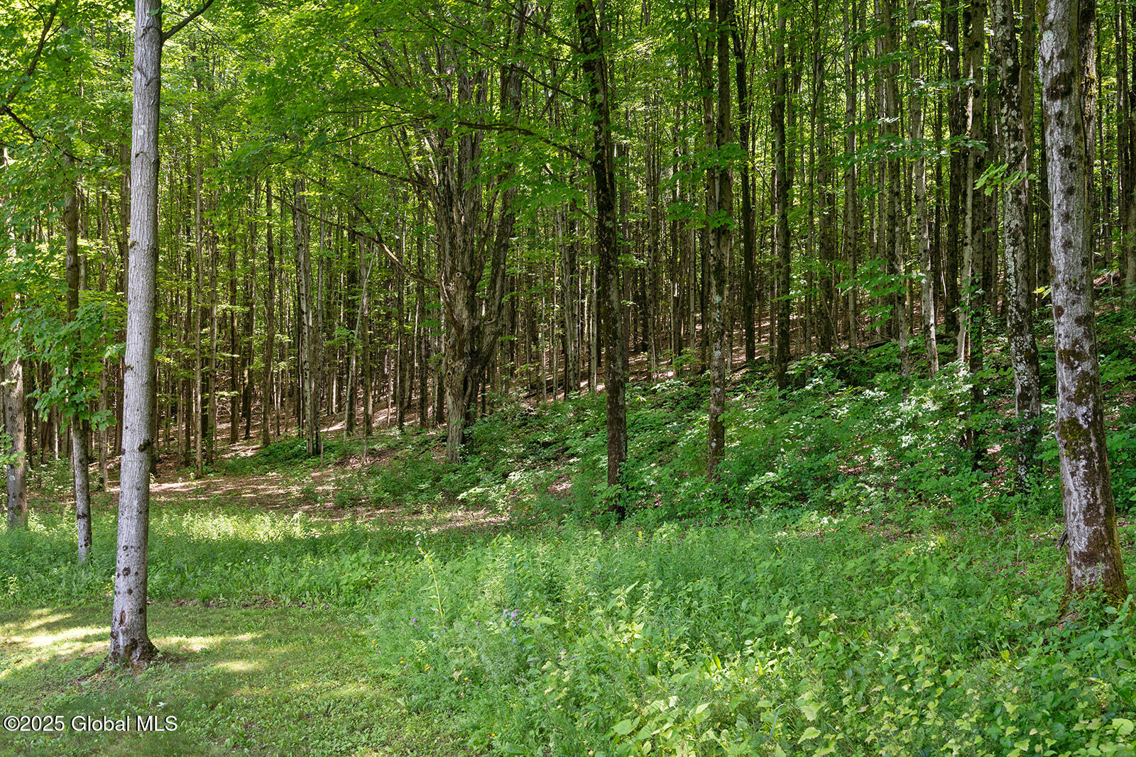 3026 Coach Road Hartford, NY 12809 - Photo 54 of 59 _DSC6533