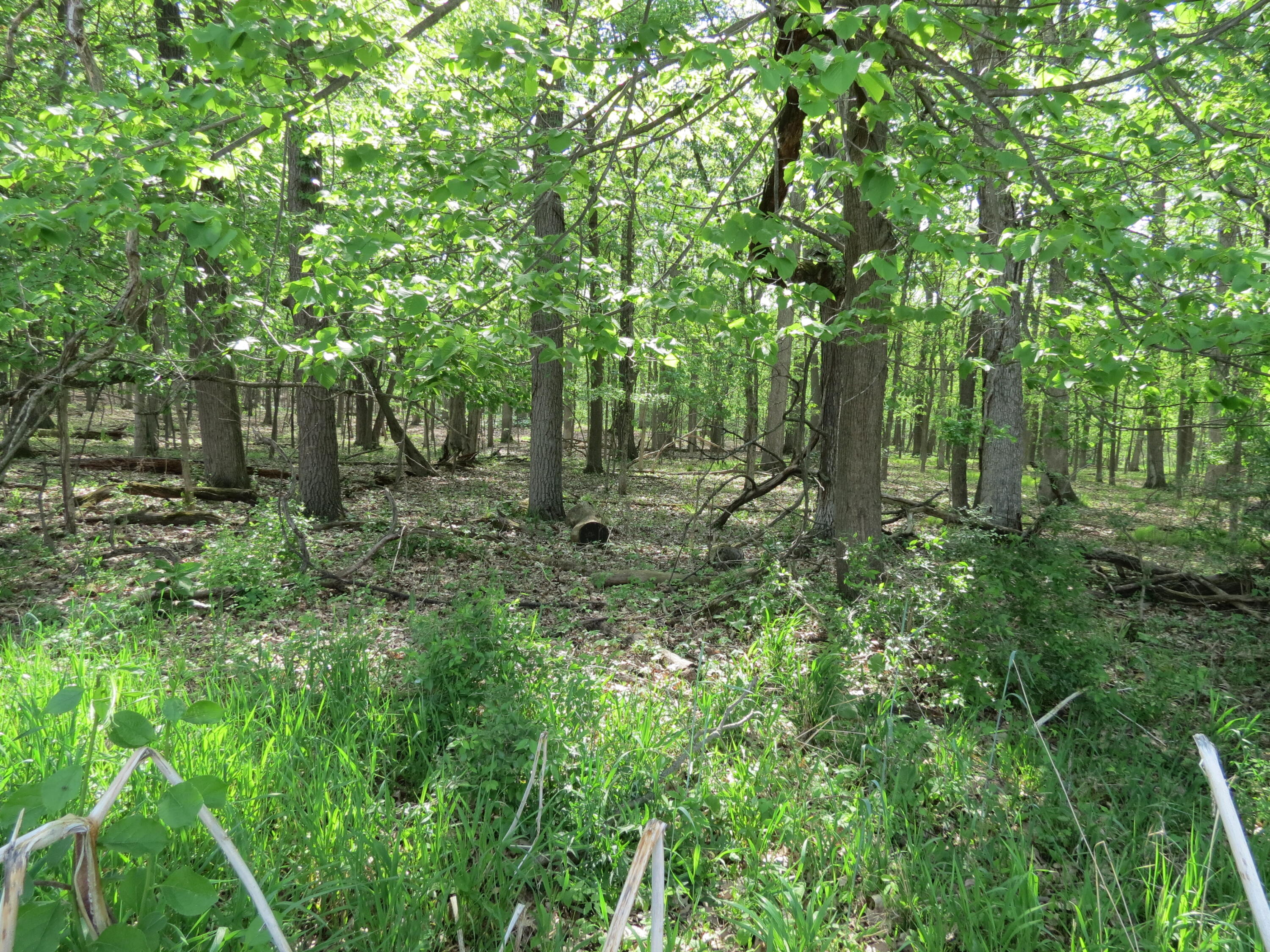 South Stony Lake Road, Unit B Jackson, MI 49201 - Photo 19 of 30 IMG_4260