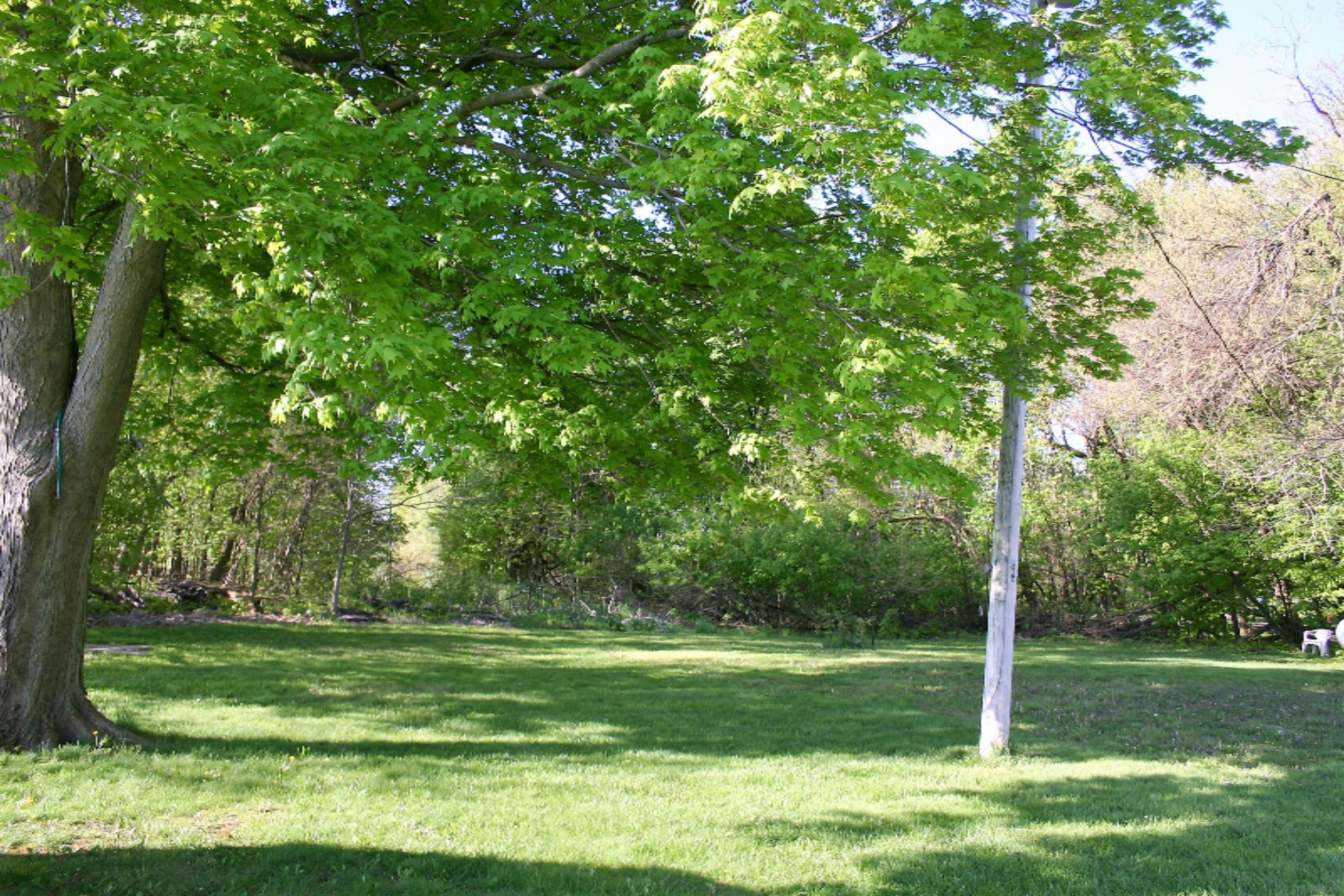 10325 Banfield Road Dowling, MI 49050 - Photo 16 of 16 IMG_6027