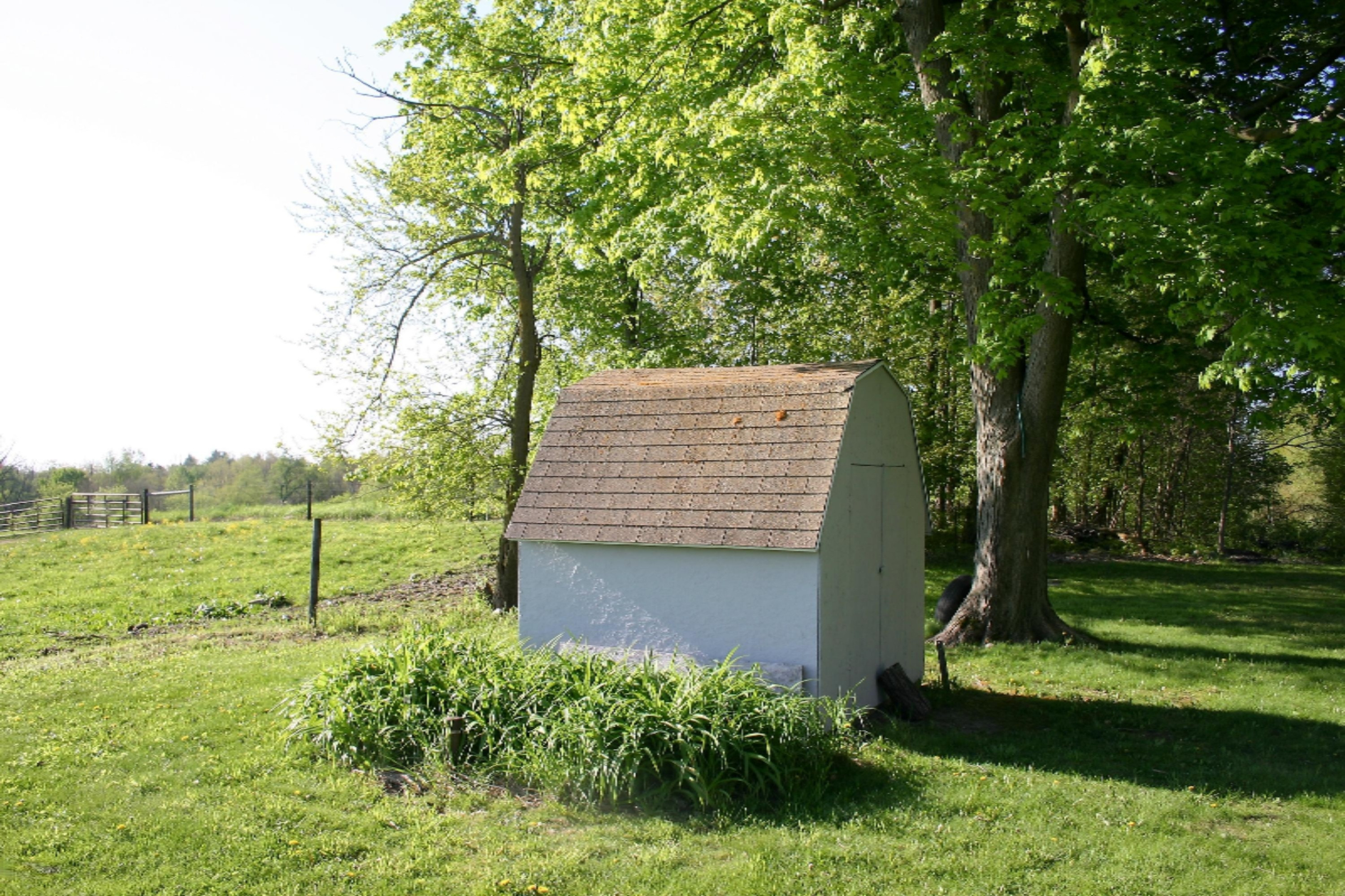 10325 Banfield Road Dowling, MI 49050 - Photo 10 of 16 IMG_6026