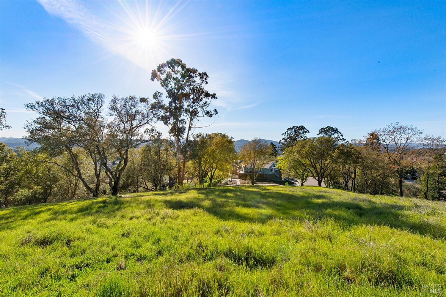1000 Borel Road Healdsburg, CA 95448 - Photo 1 of 1 Gallery Image 1