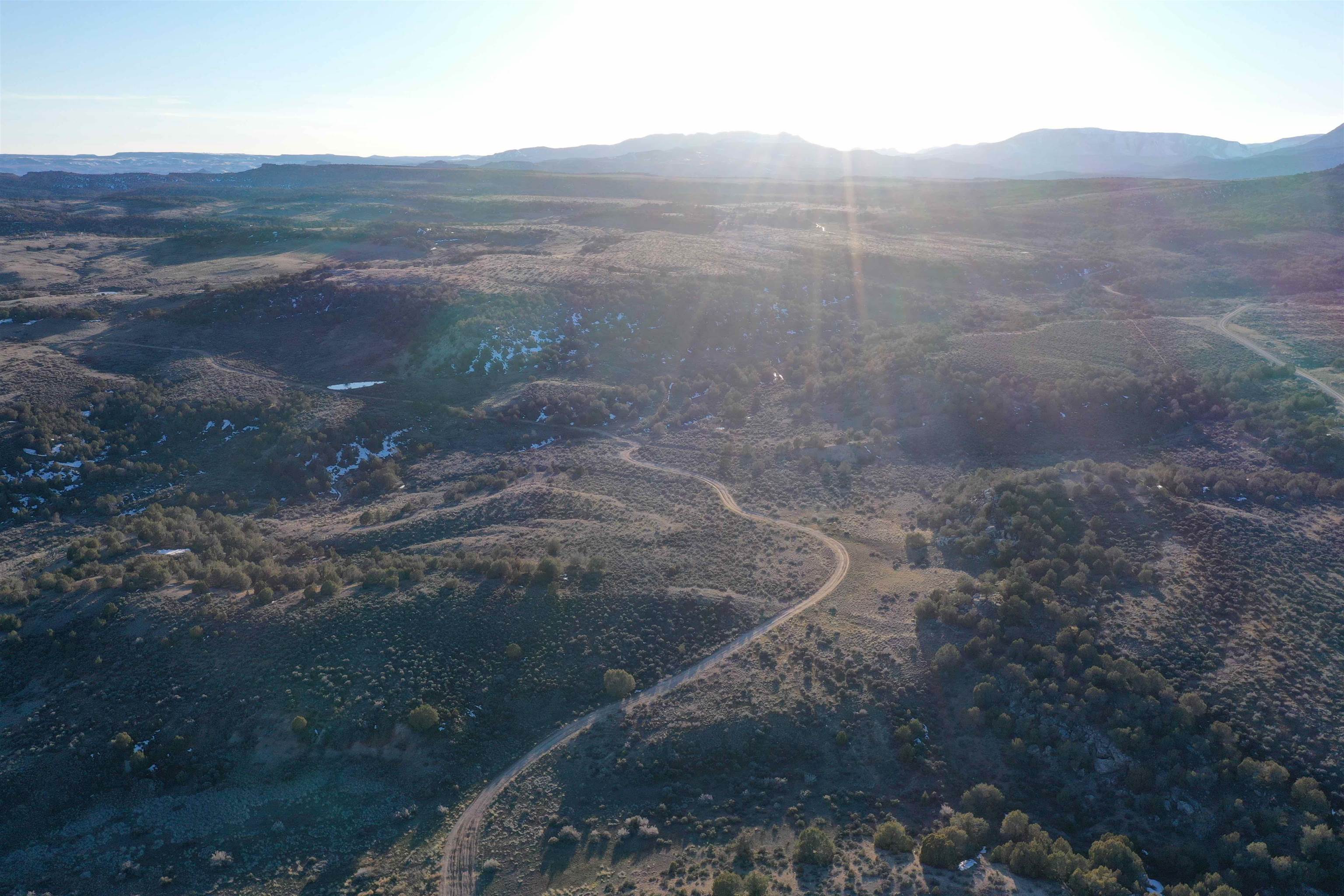 a view of a dry yard with mountains in the background