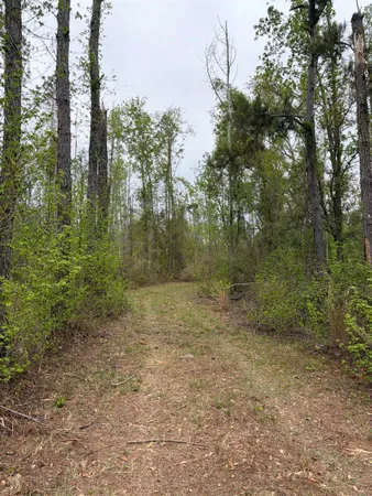 $249,500 | 870 Southwest San Pedro Road, Madison, FL 32340