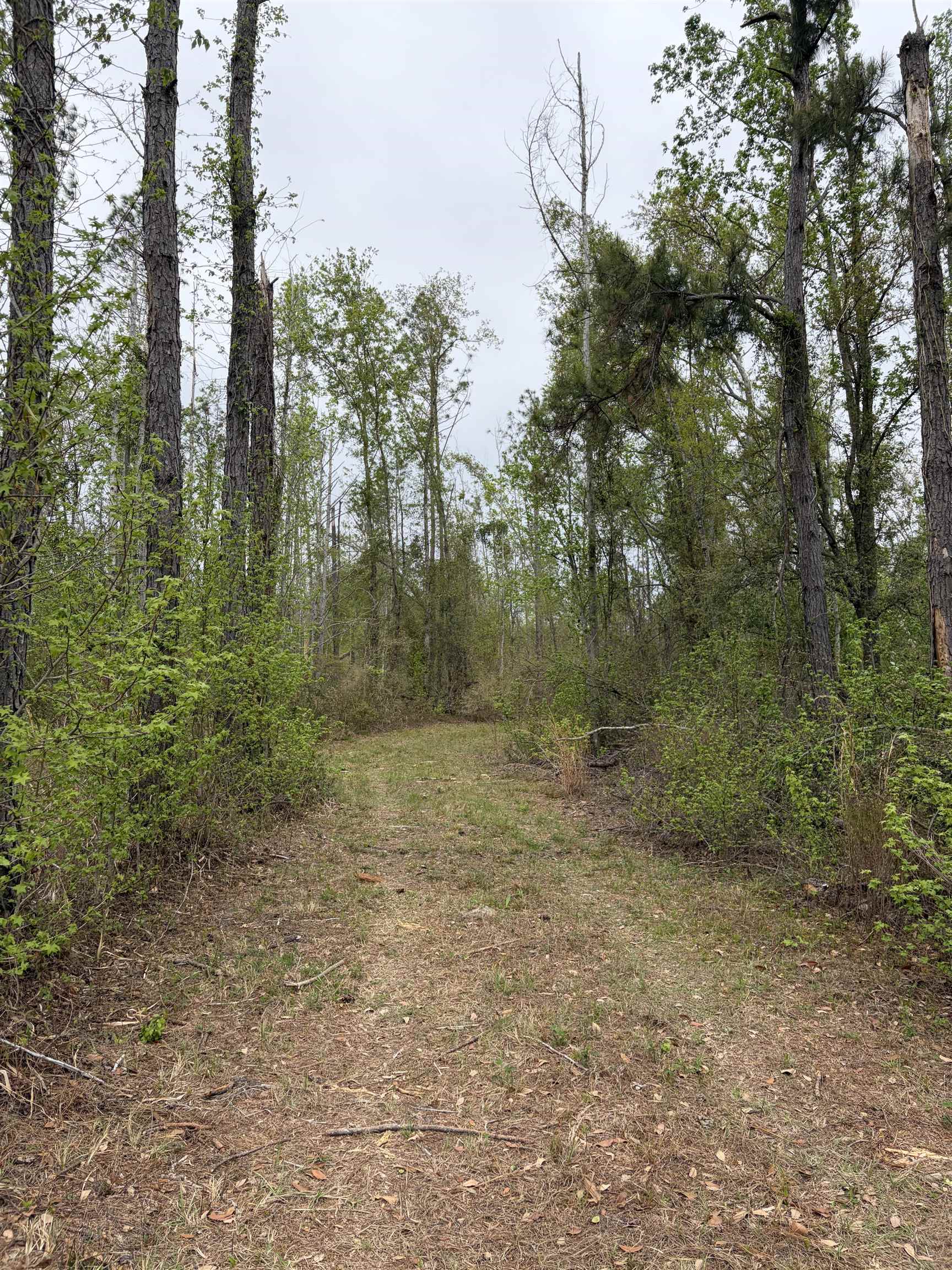 870 Southwest San Pedro Road Madison, FL 32340 - Photo 1 of 44