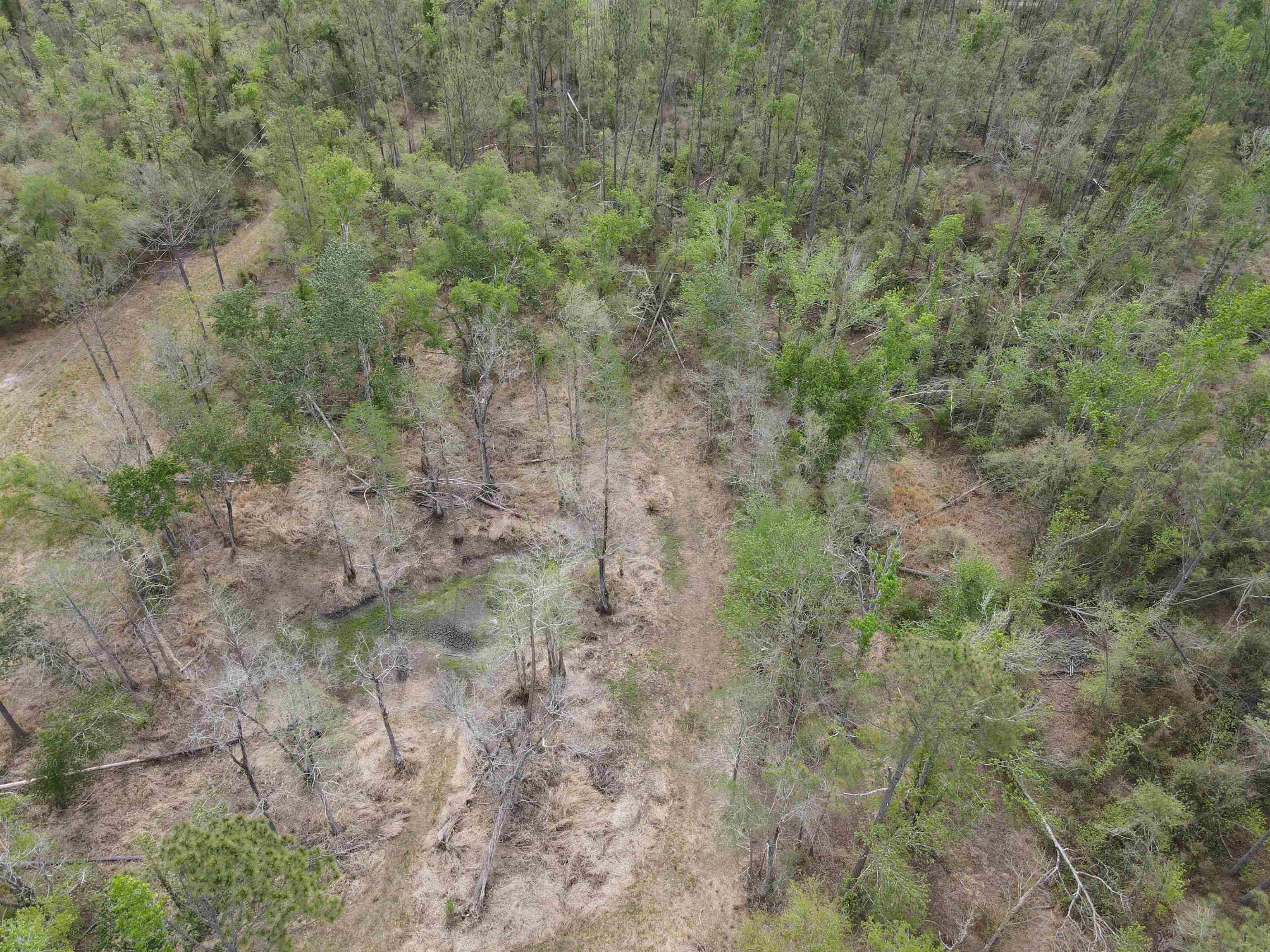 870 Southwest San Pedro Road Madison, FL 32340 - Photo 14 of 44