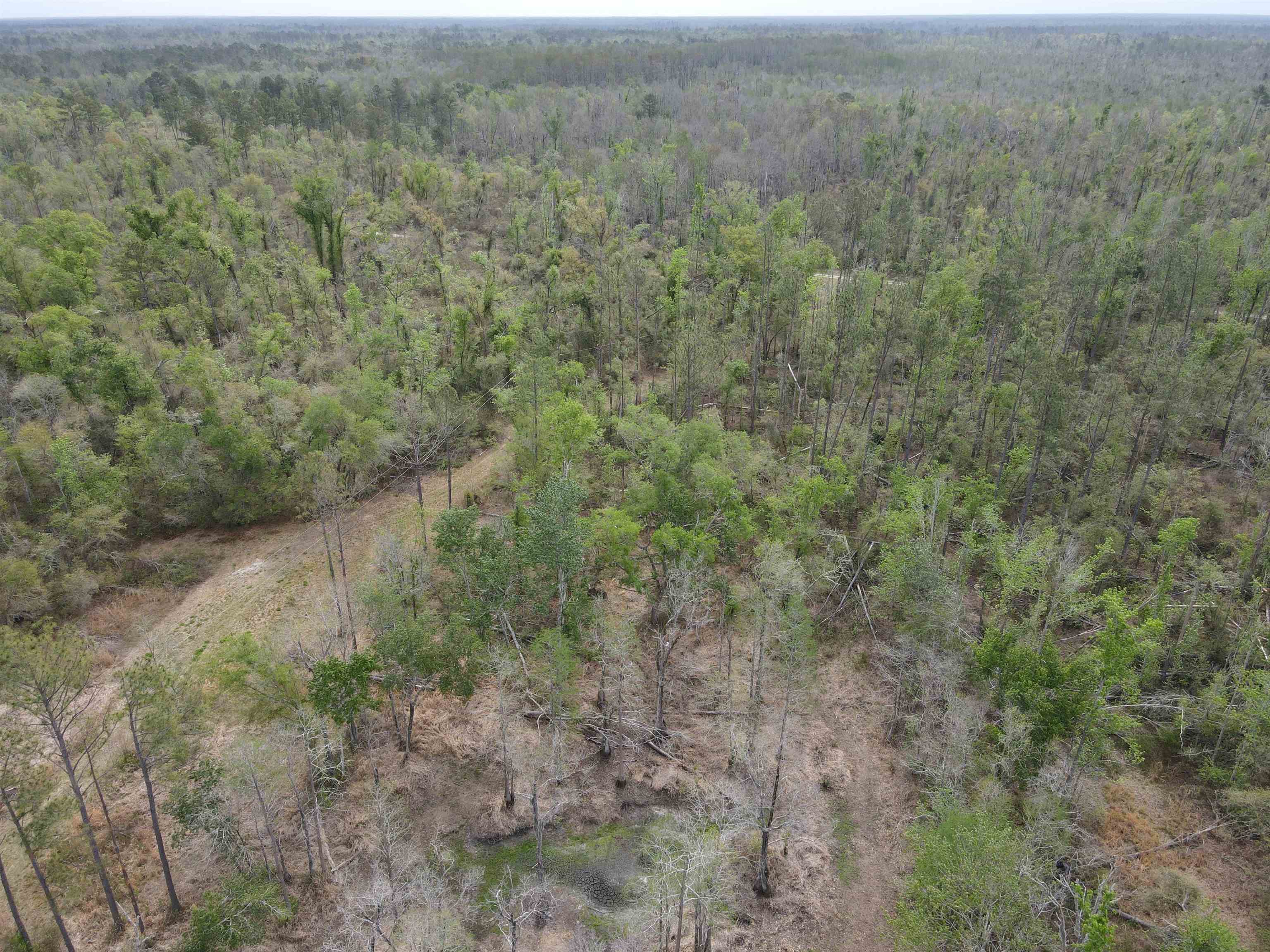 870 Southwest San Pedro Road Madison, FL 32340 - Photo 15 of 44