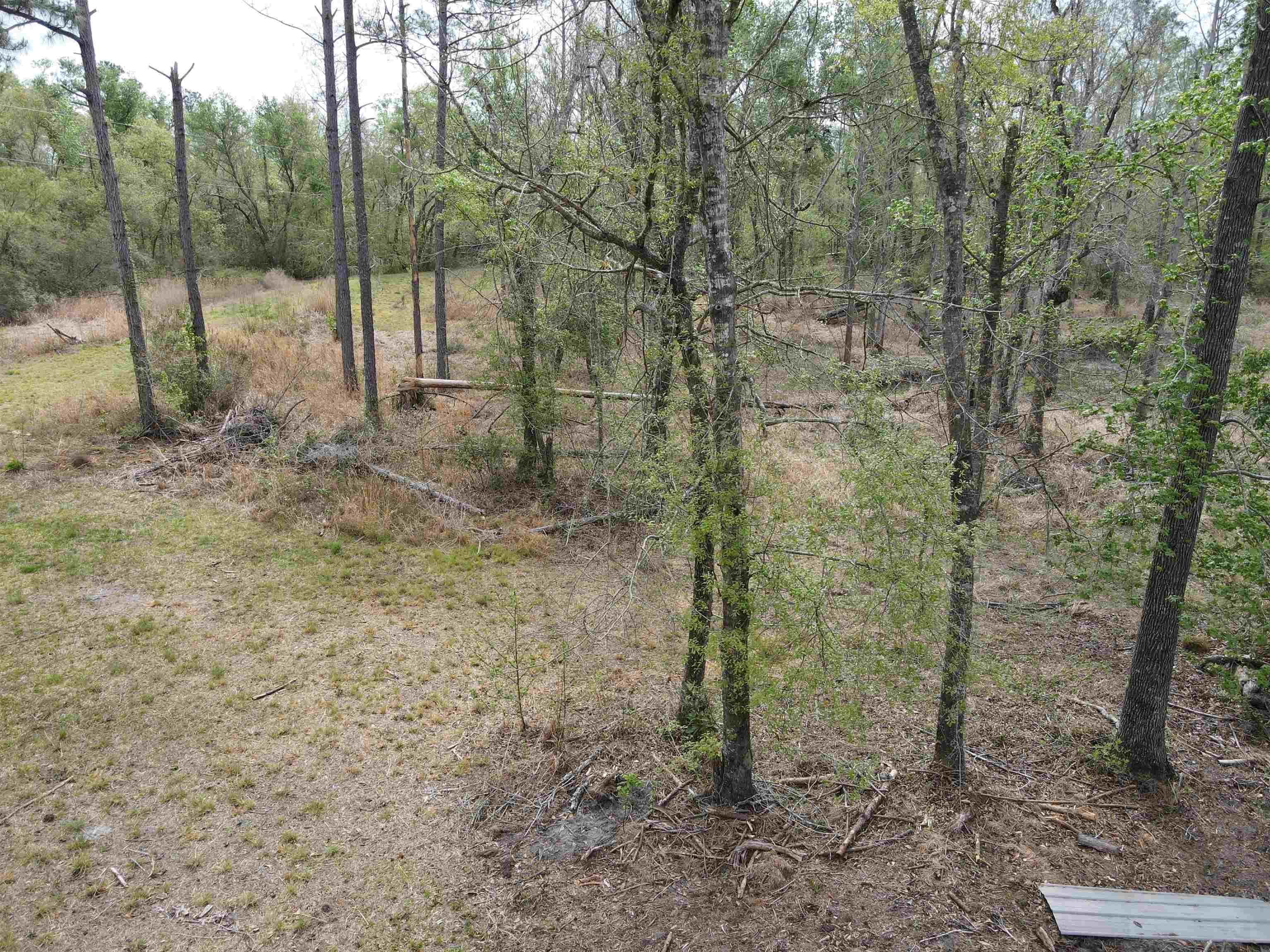 870 Southwest San Pedro Road Madison, FL 32340 - Photo 16 of 44