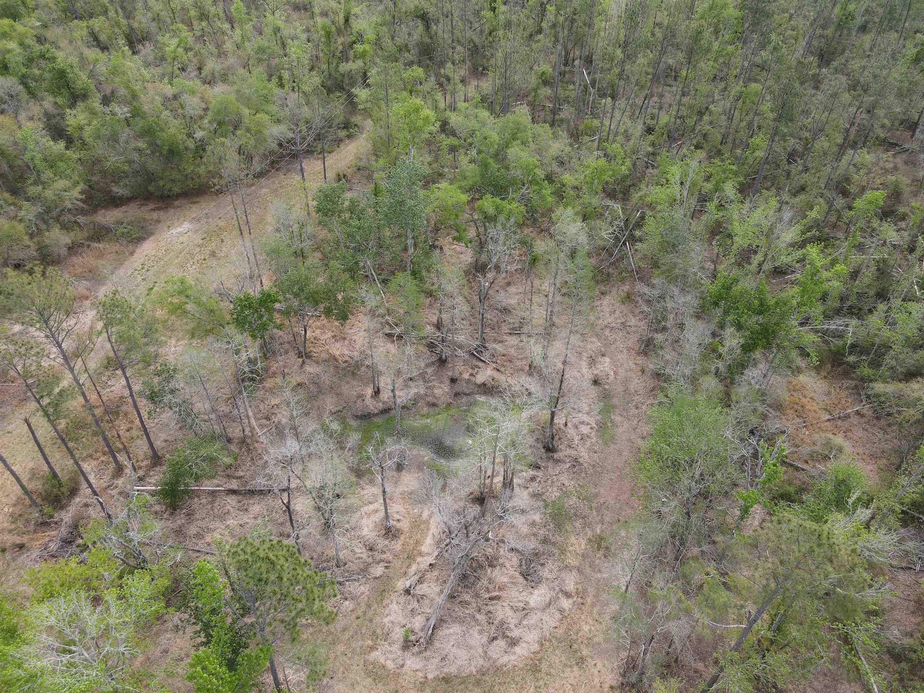 870 Southwest San Pedro Road Madison, FL 32340 - Photo 17 of 44