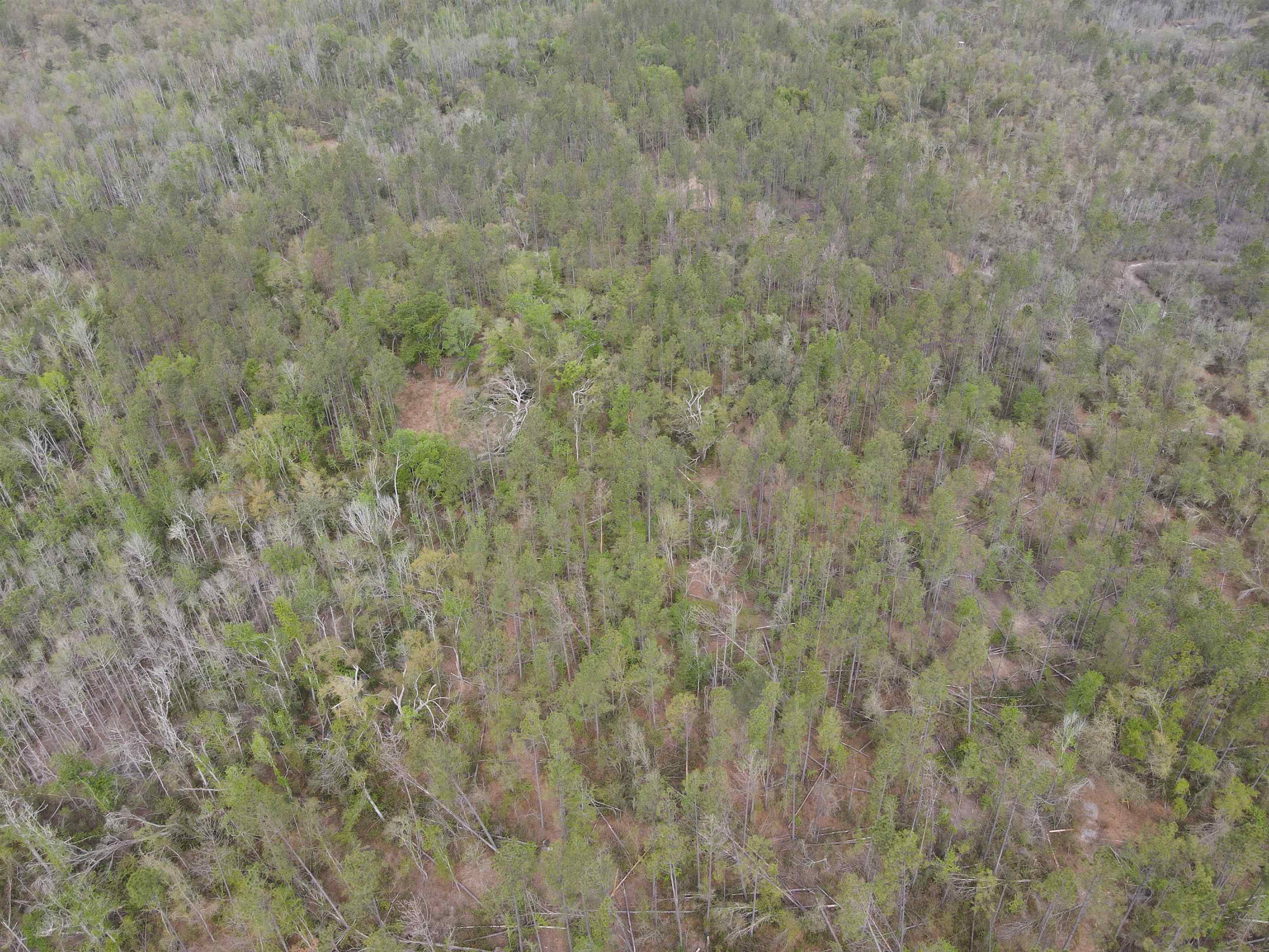 870 Southwest San Pedro Road Madison, FL 32340 - Photo 18 of 44