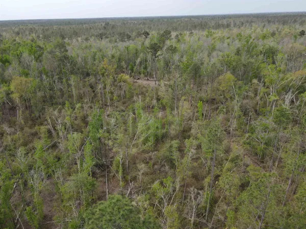 $249,500 | 870 Southwest San Pedro Road, Madison, FL 32340