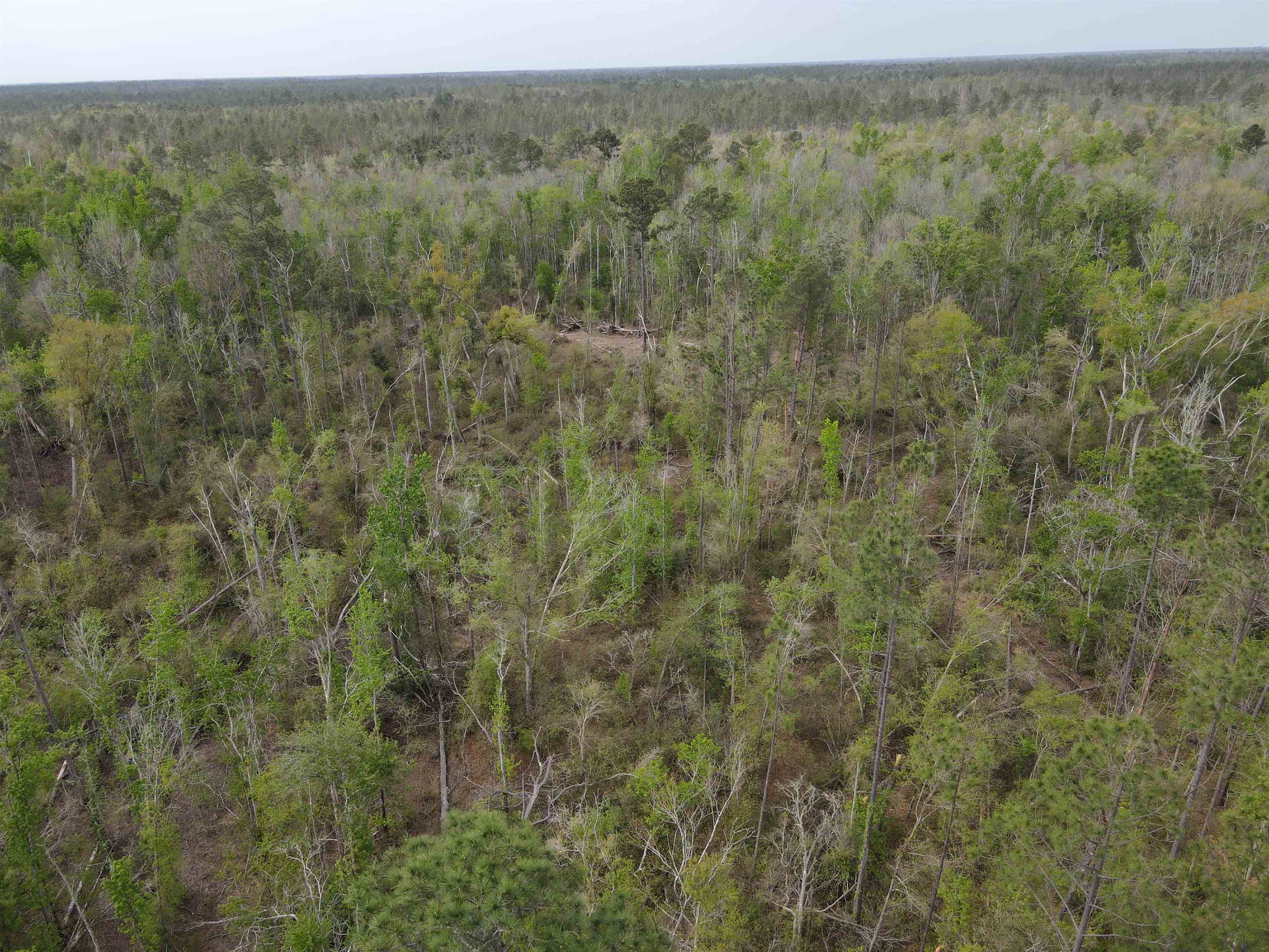 870 Southwest San Pedro Road Madison, FL 32340 - Photo 21 of 44