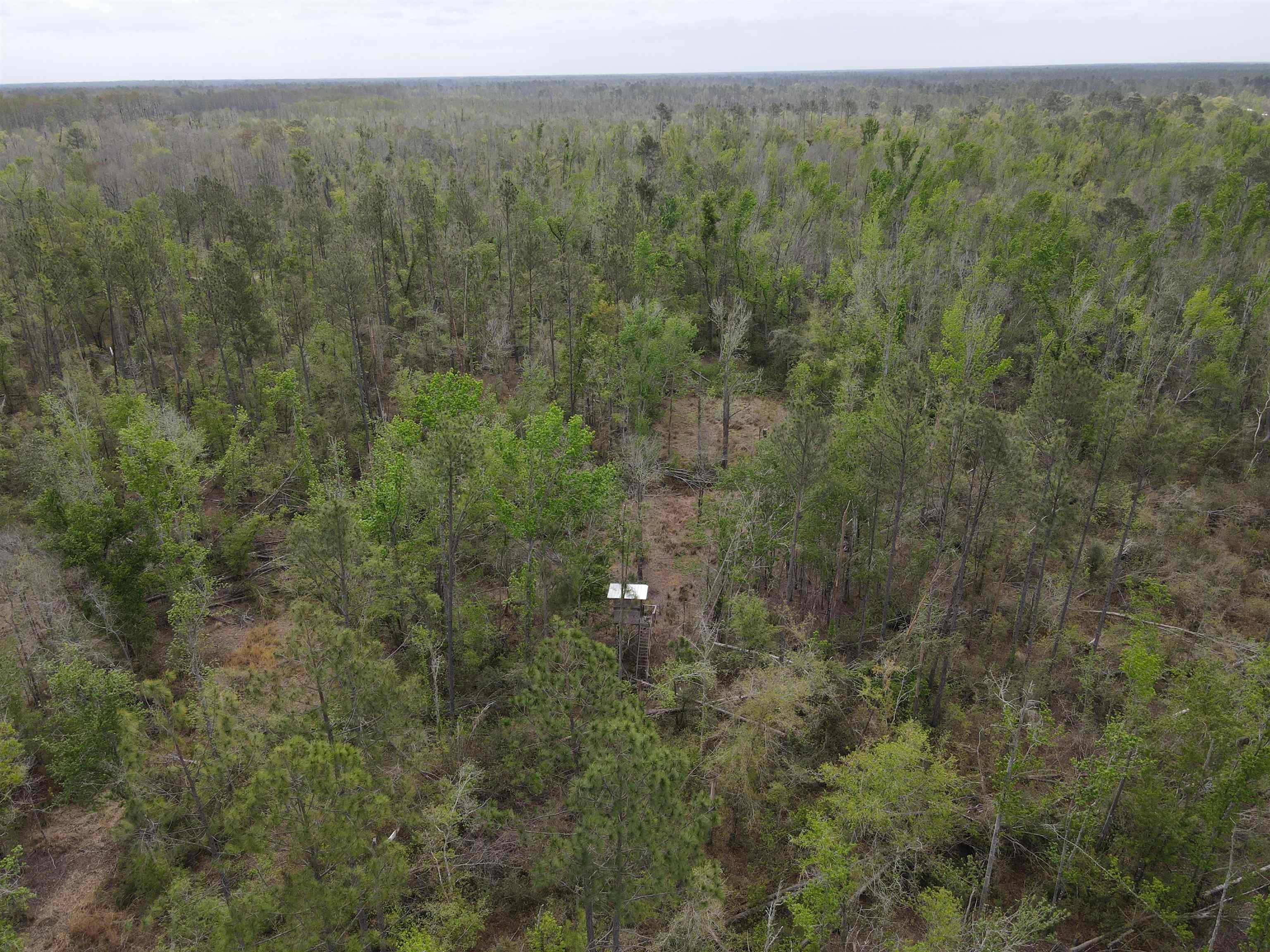 870 Southwest San Pedro Road Madison, FL 32340 - Photo 23 of 44