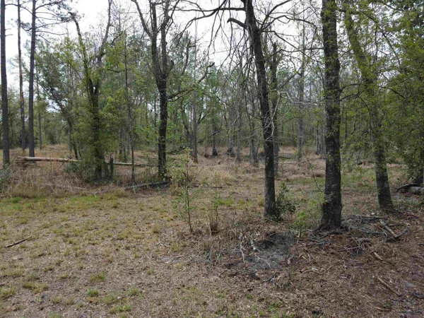 $249,500 | 870 Southwest San Pedro Road, Madison, FL 32340