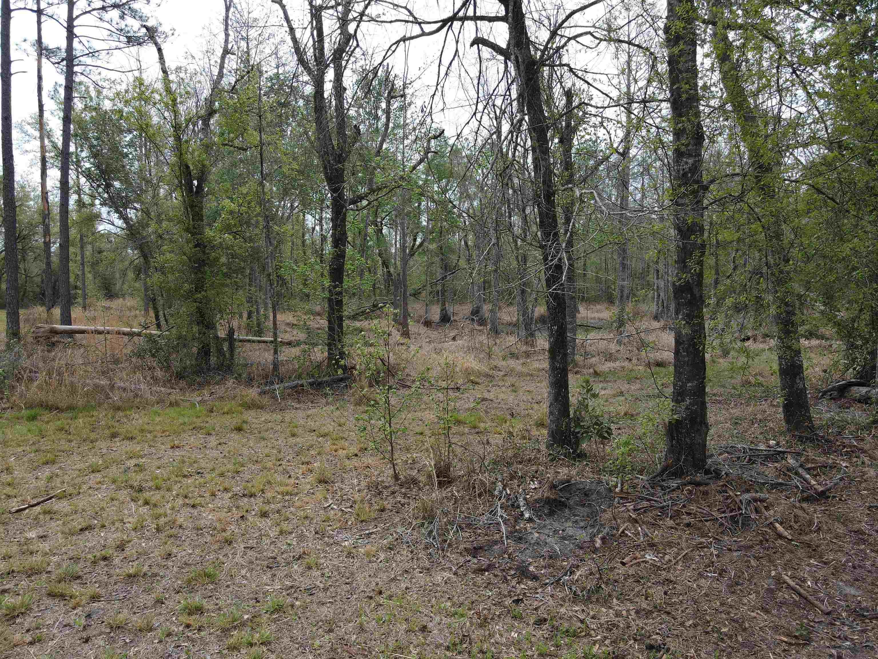 870 Southwest San Pedro Road Madison, FL 32340 - Photo 24 of 44