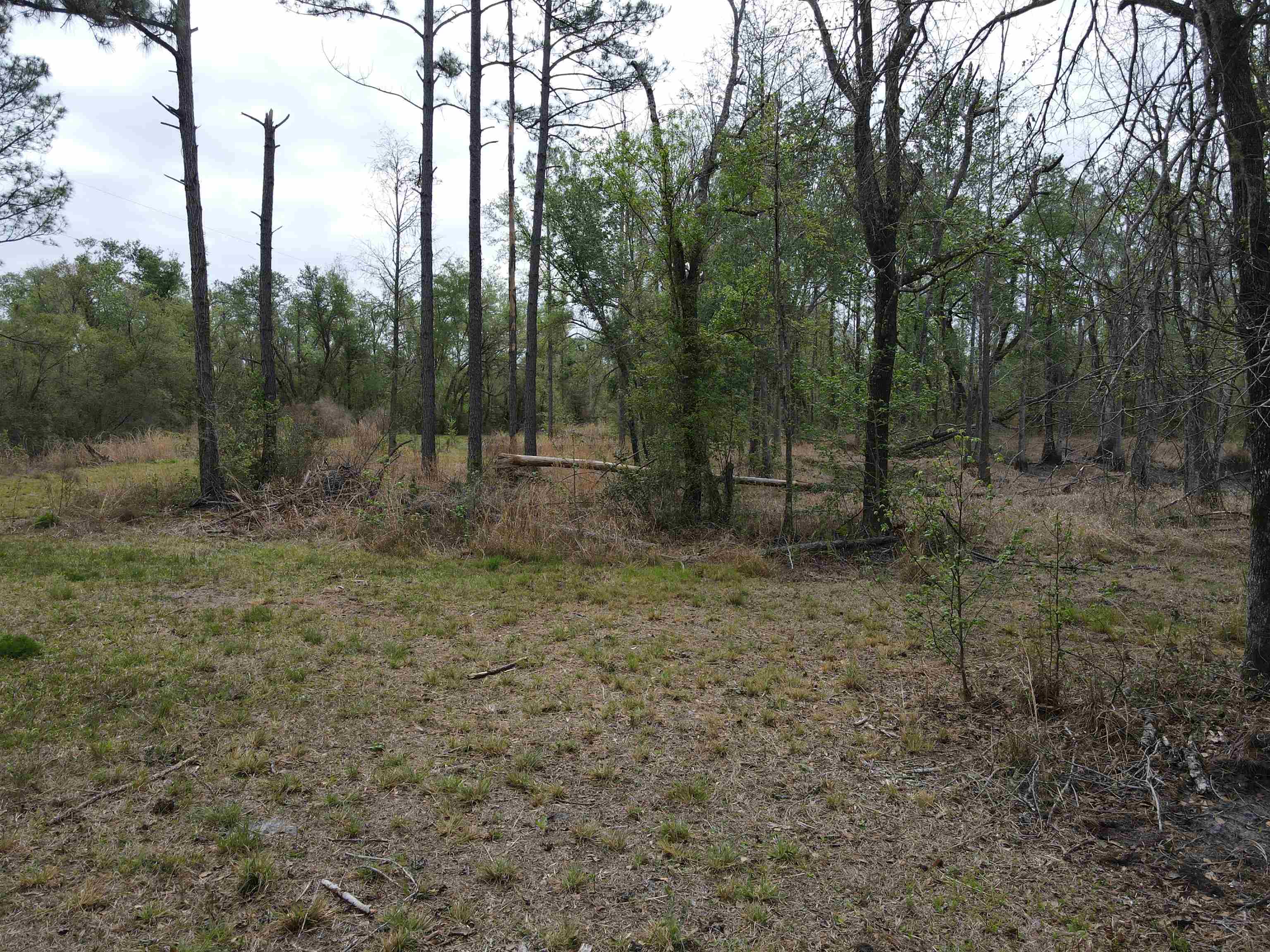 870 Southwest San Pedro Road Madison, FL 32340 - Photo 26 of 44