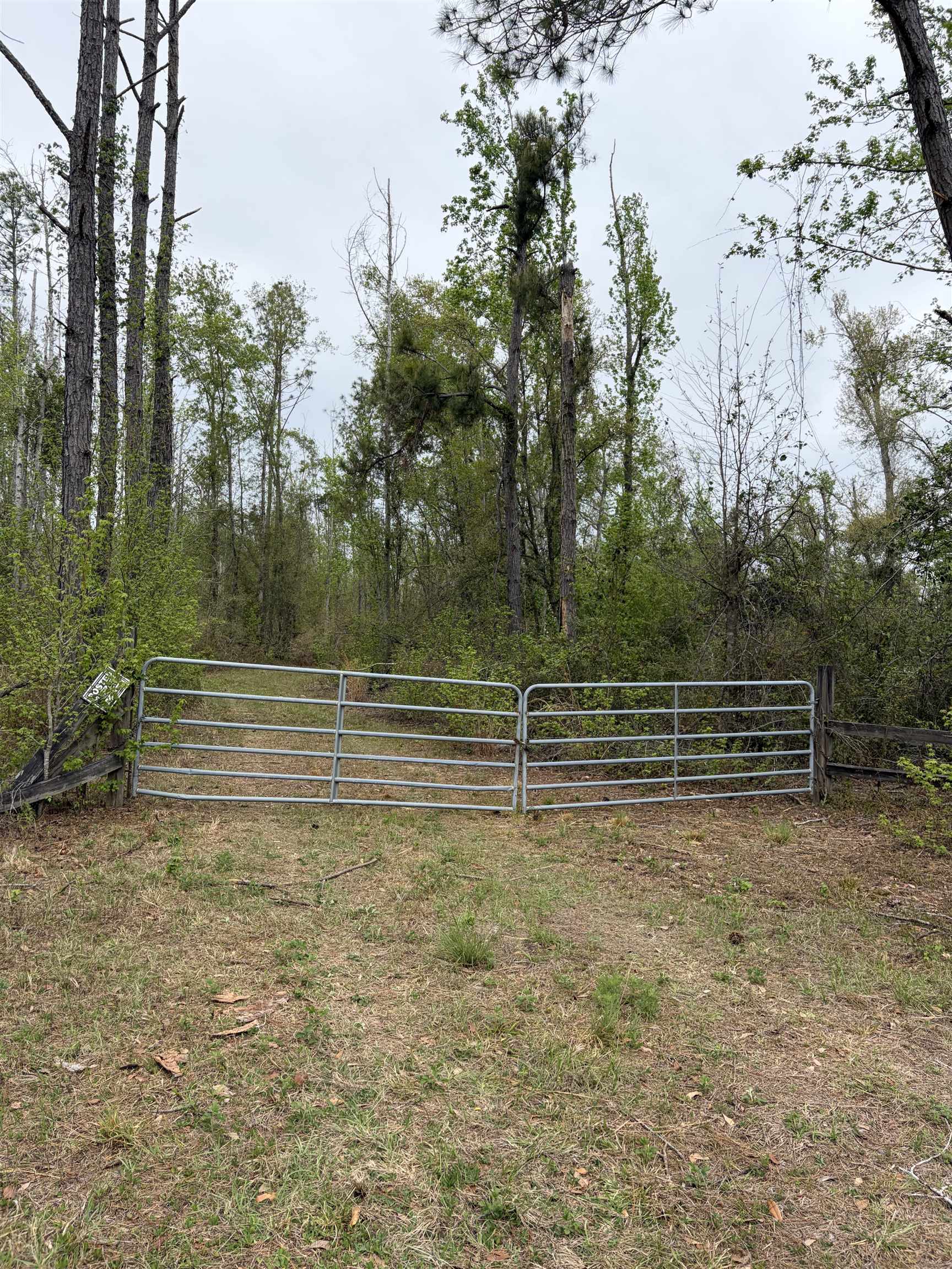 870 Southwest San Pedro Road Madison, FL 32340 - Photo 29 of 44