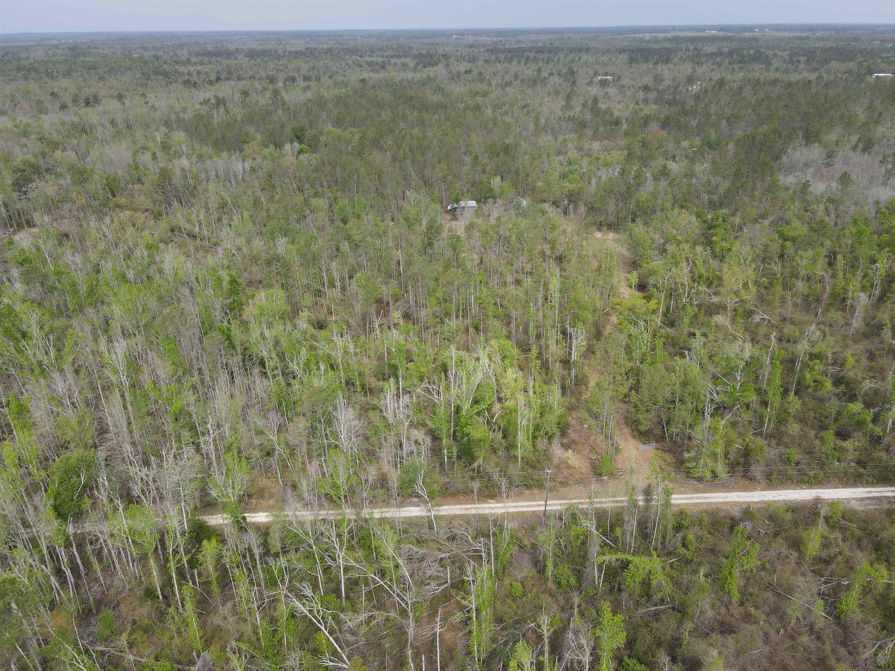 870 Southwest San Pedro Road Madison, FL 32340 - Photo 3 of 44