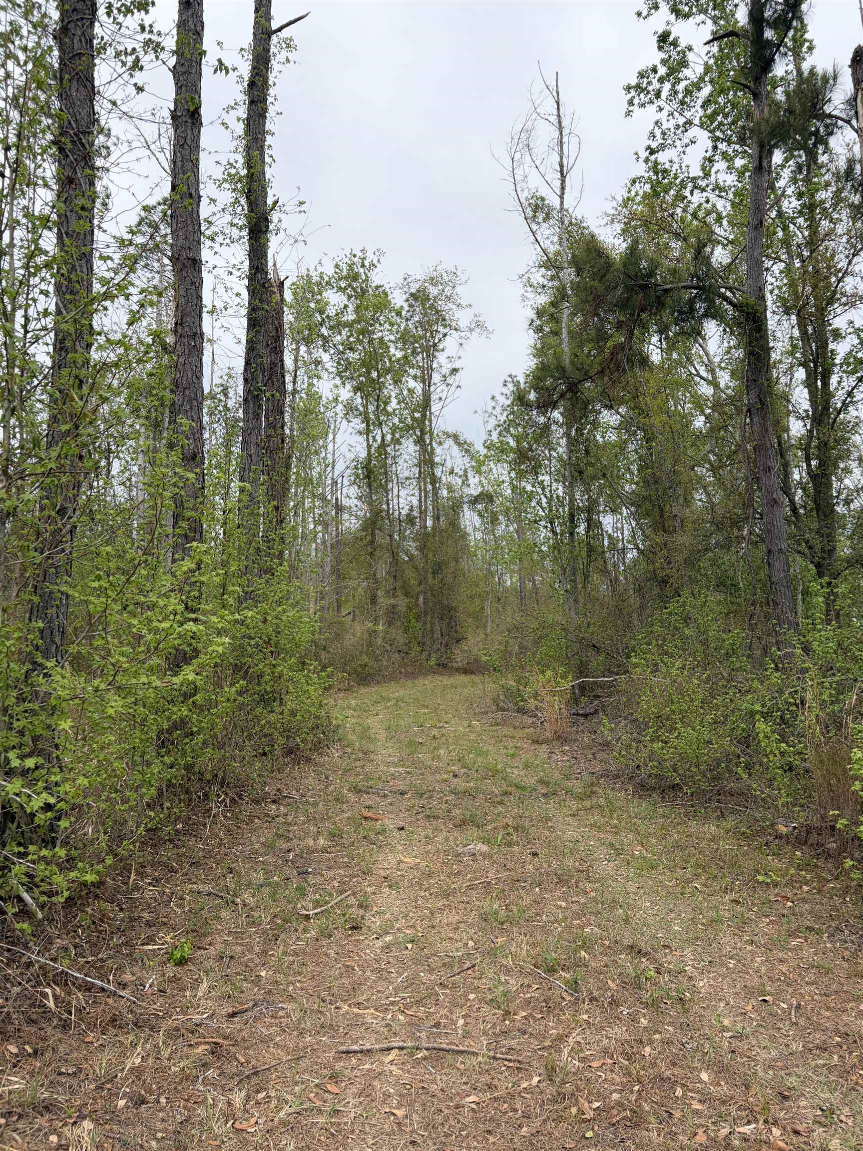 870 Southwest San Pedro Road Madison, FL 32340 - Photo 32 of 44