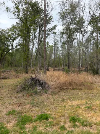 $249,500 | 870 Southwest San Pedro Road, Madison, FL 32340