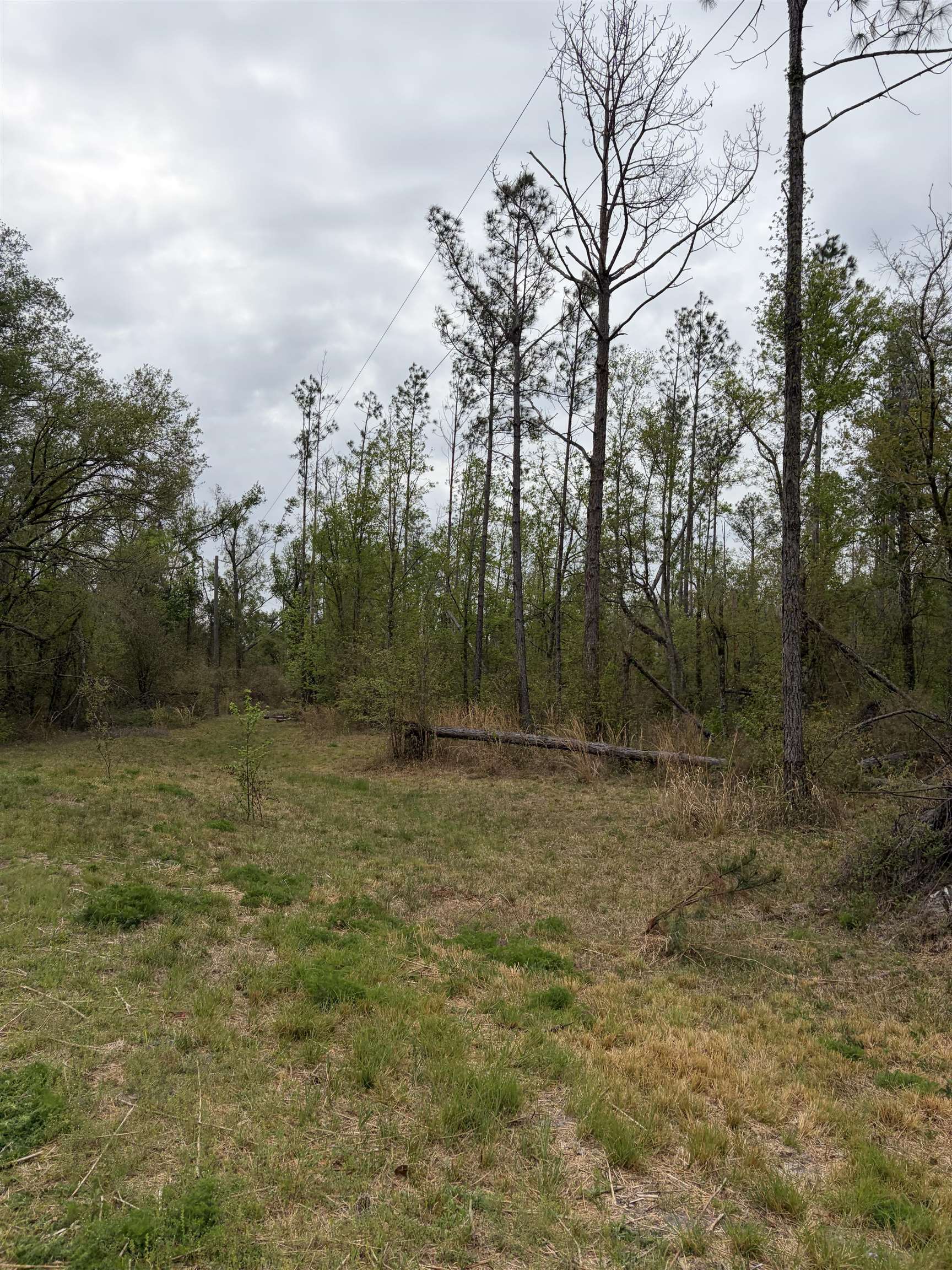 870 Southwest San Pedro Road Madison, FL 32340 - Photo 34 of 44