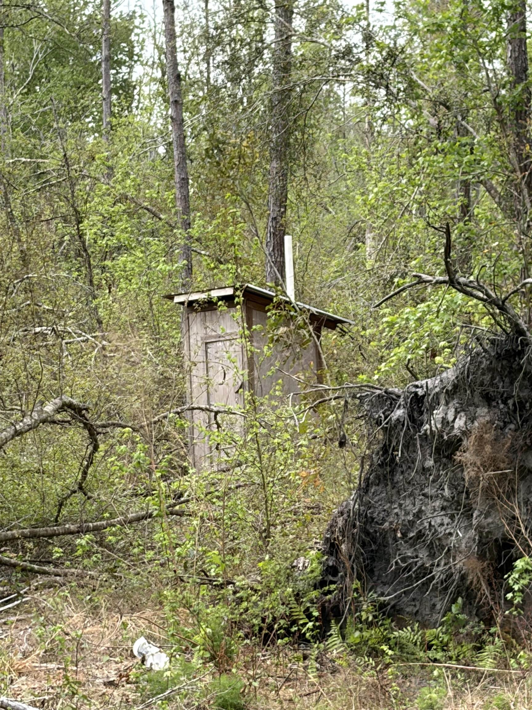 870 Southwest San Pedro Road Madison, FL 32340 - Photo 40 of 44