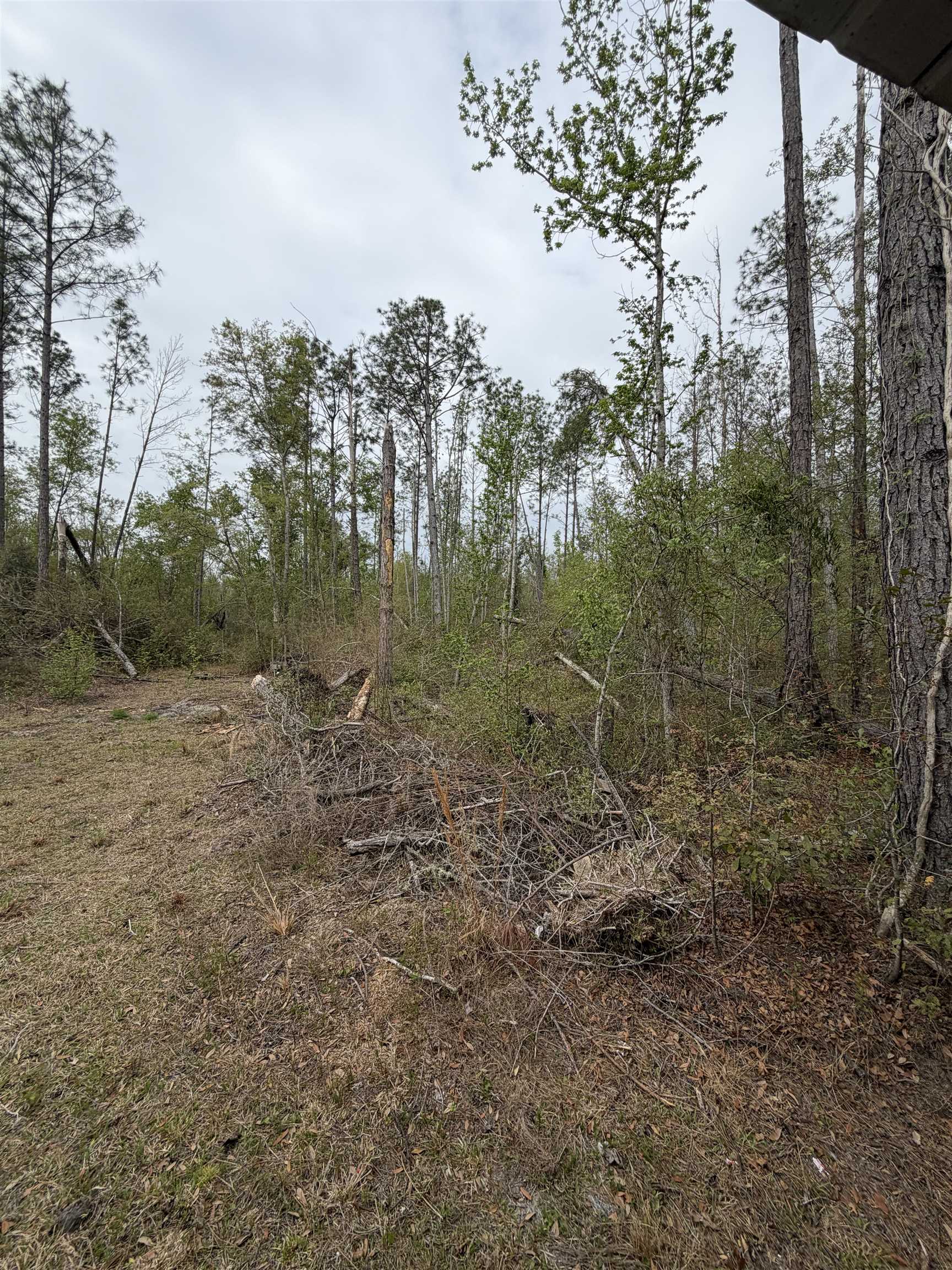 870 Southwest San Pedro Road Madison, FL 32340 - Photo 5 of 44