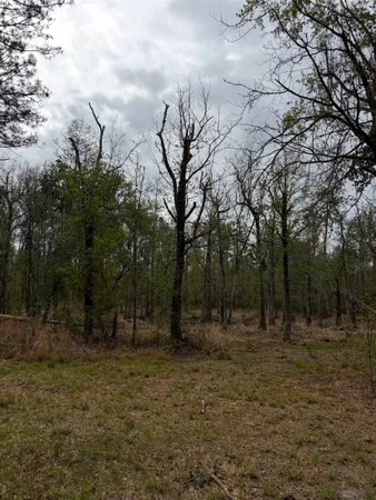 $249,500 | 870 Southwest San Pedro Road, Madison, FL 32340