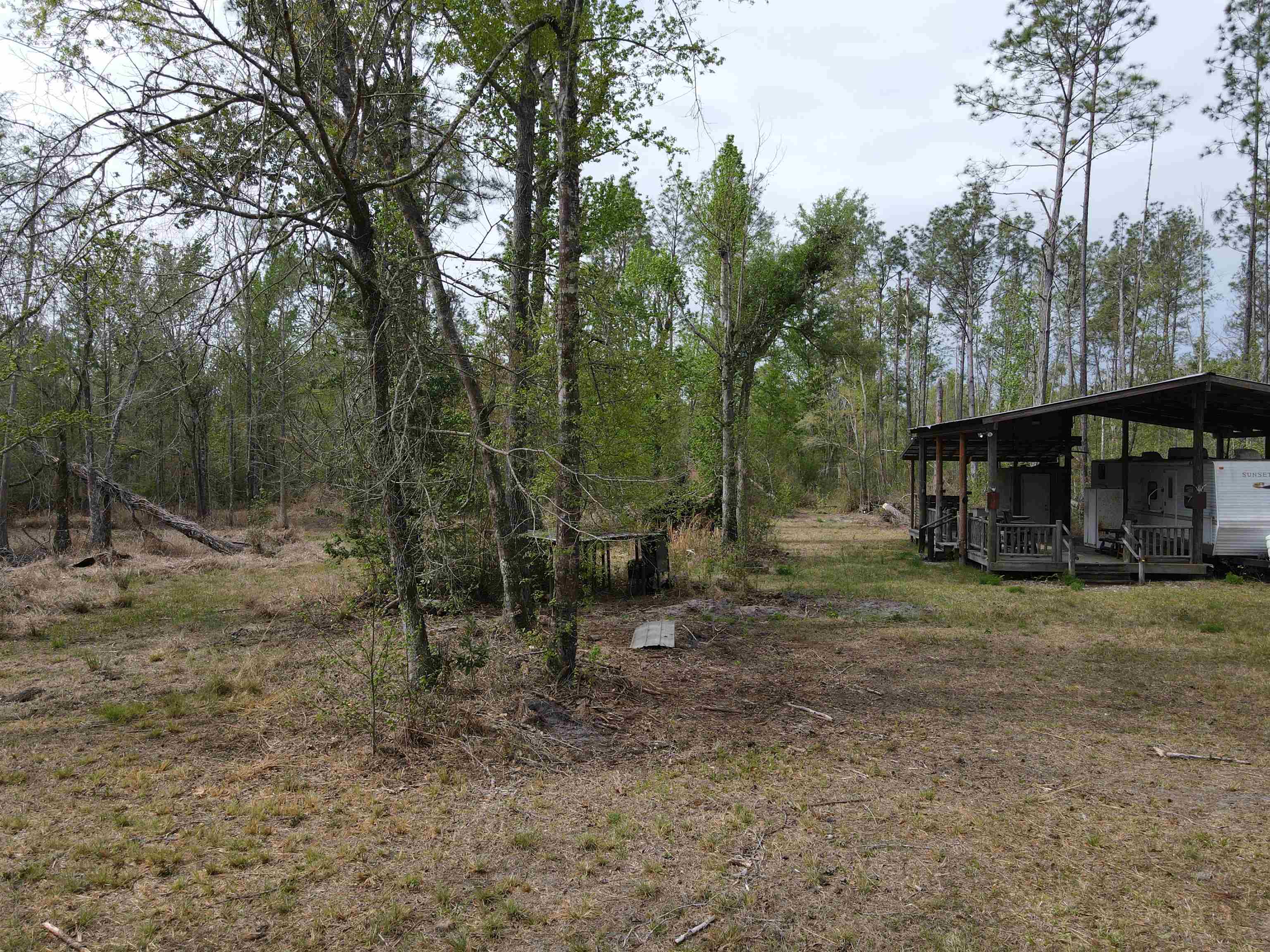 870 Southwest San Pedro Road Madison, FL 32340 - Photo 7 of 44