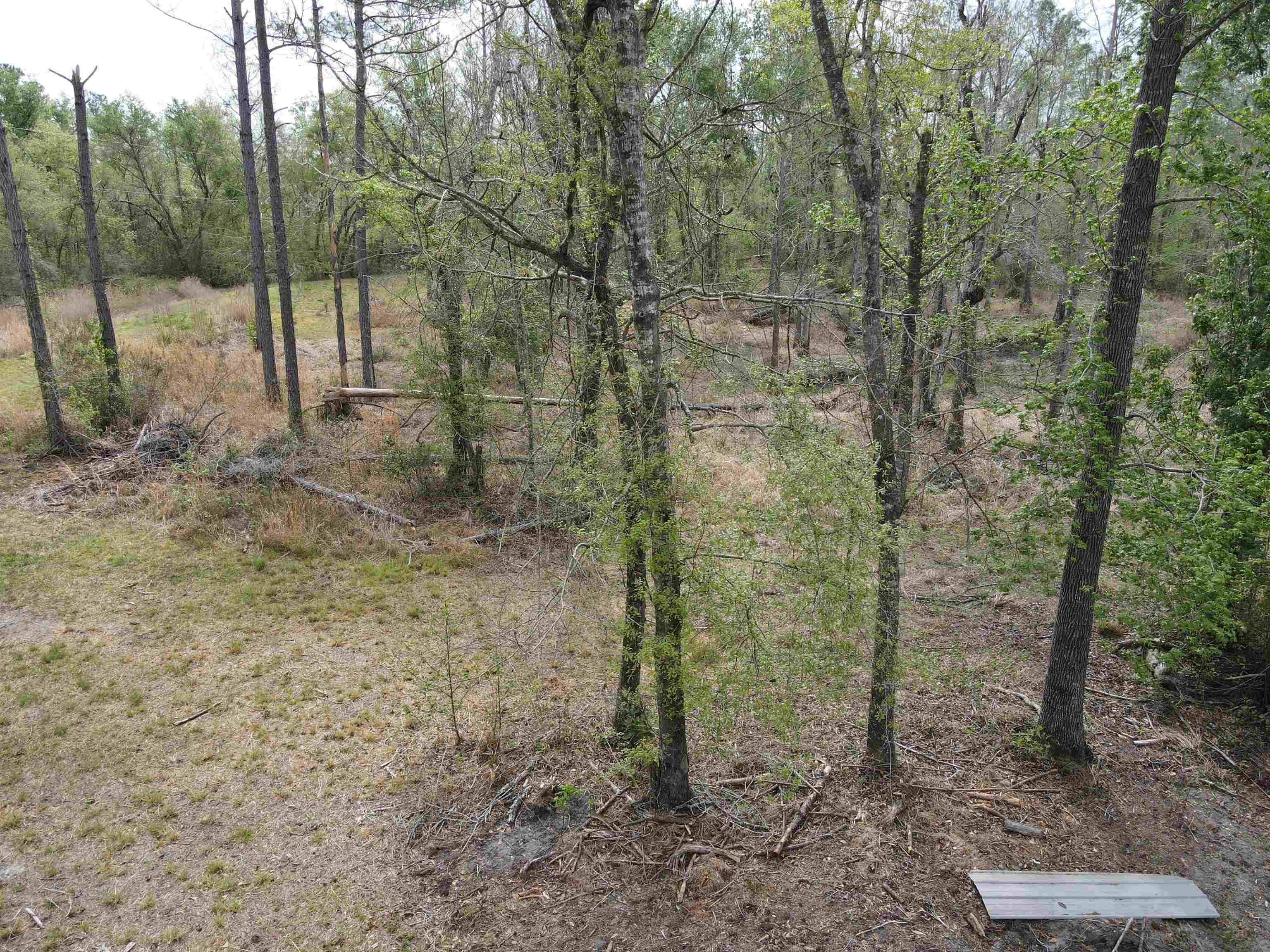 870 Southwest San Pedro Road Madison, FL 32340 - Photo 8 of 44