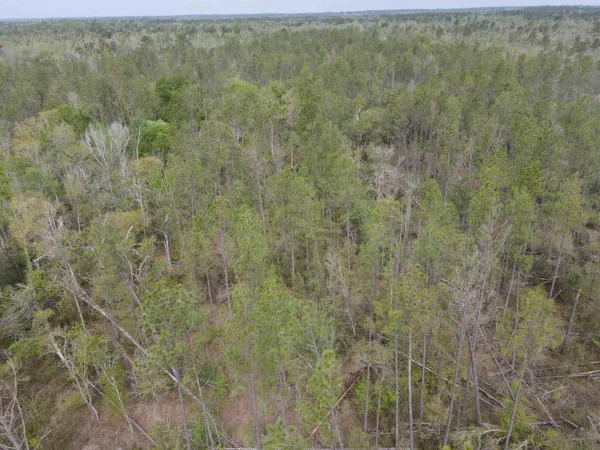 $249,500 | 870 Southwest San Pedro Road, Madison, FL 32340