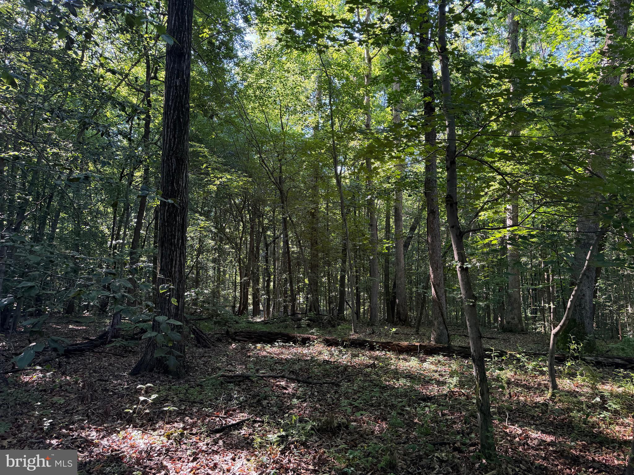 0 Rock Springs Road Conowingo, MD 21918 - Photo 66 of 79