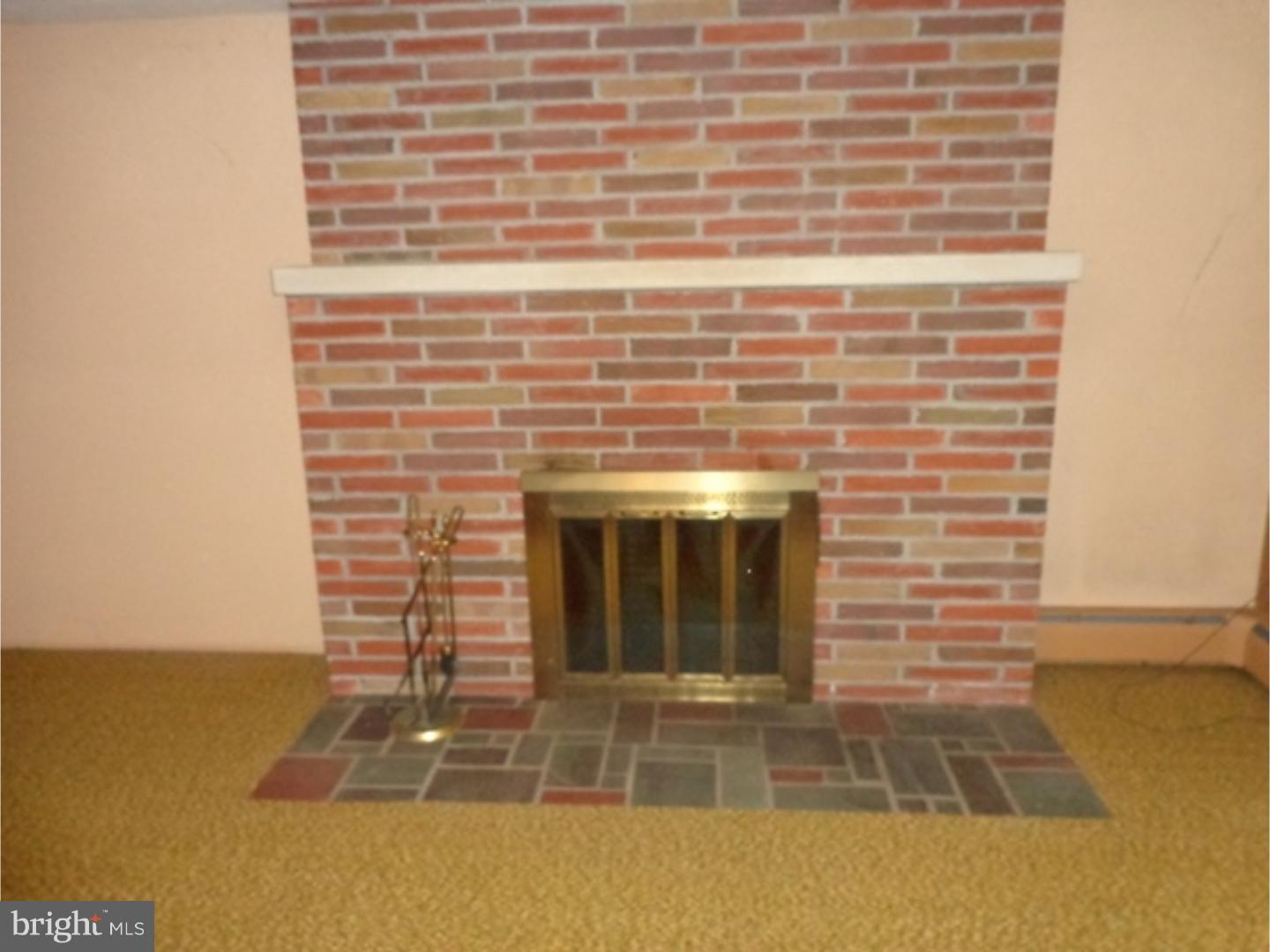 81 Peach Tree Lane Sinking Spring, PA 19608 - Photo 16 of 24 Fireplace