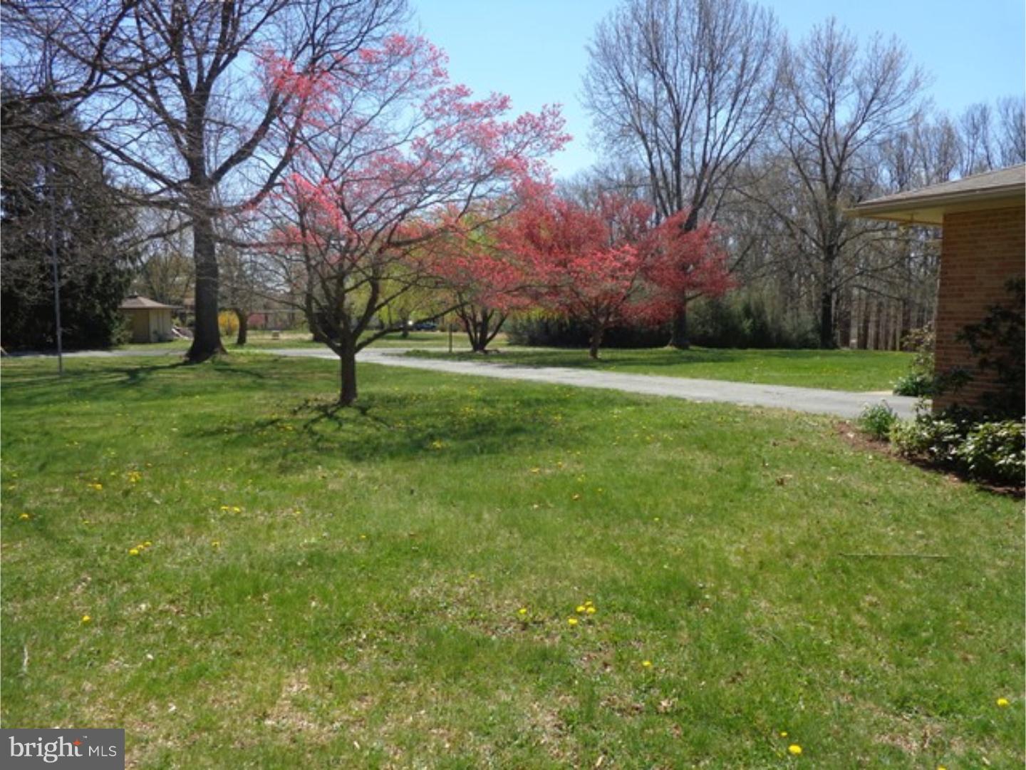 81 Peach Tree Lane Sinking Spring, PA 19608 - Photo 3 of 24 View from Front Door