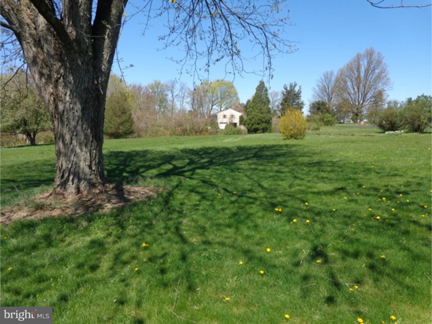 81 Peach Tree Lane Sinking Spring, PA 19608 - Photo 22 of 24 Back Yard