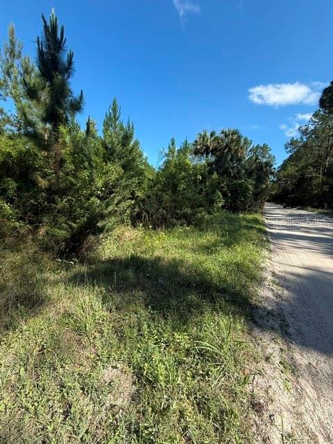 75 County Road Bunnell, FL 32110 - Photo 5 of 10 a view of a lake with a yard