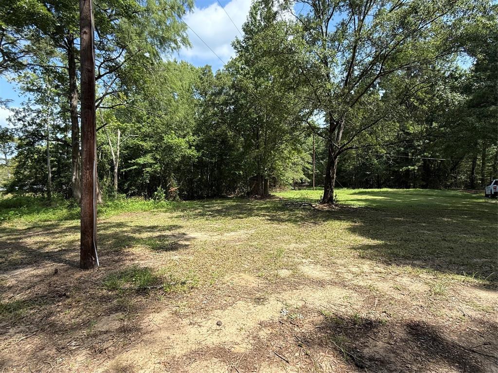 11756 Catfish Road Vivian, LA 71082 - Photo 15 of 15 Acreage looking from side of cabin